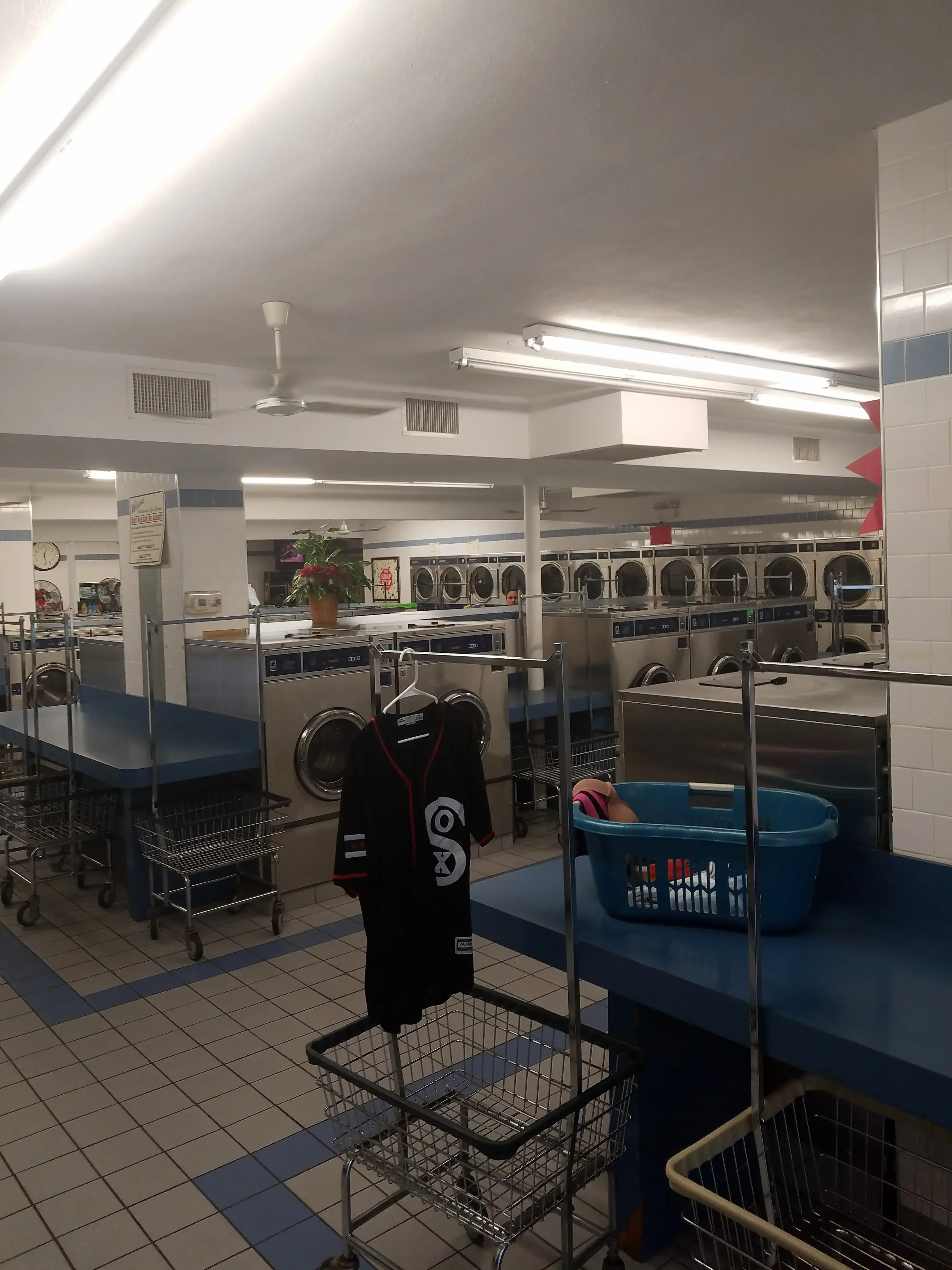 Bubble Queen Laundry - Image 7