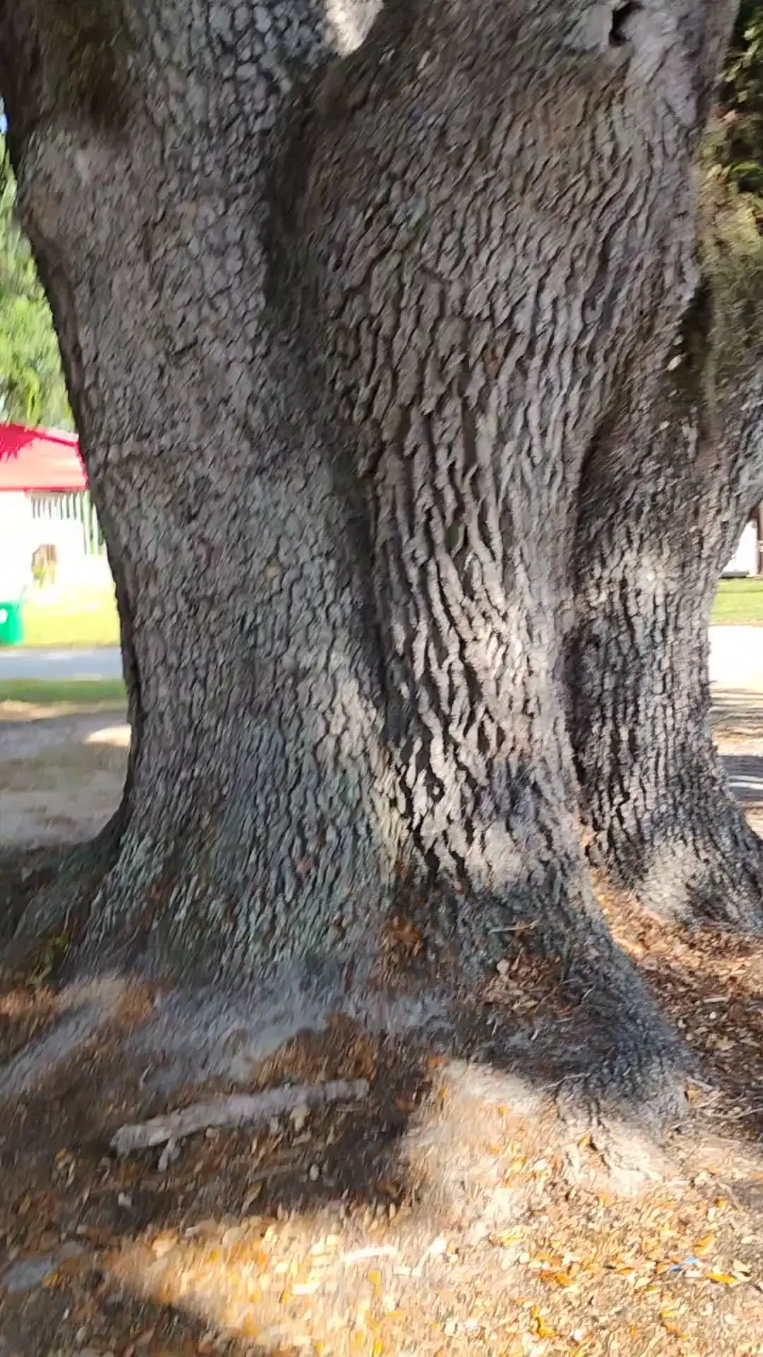 Bubbles & Beyond Laundromat - Image 10