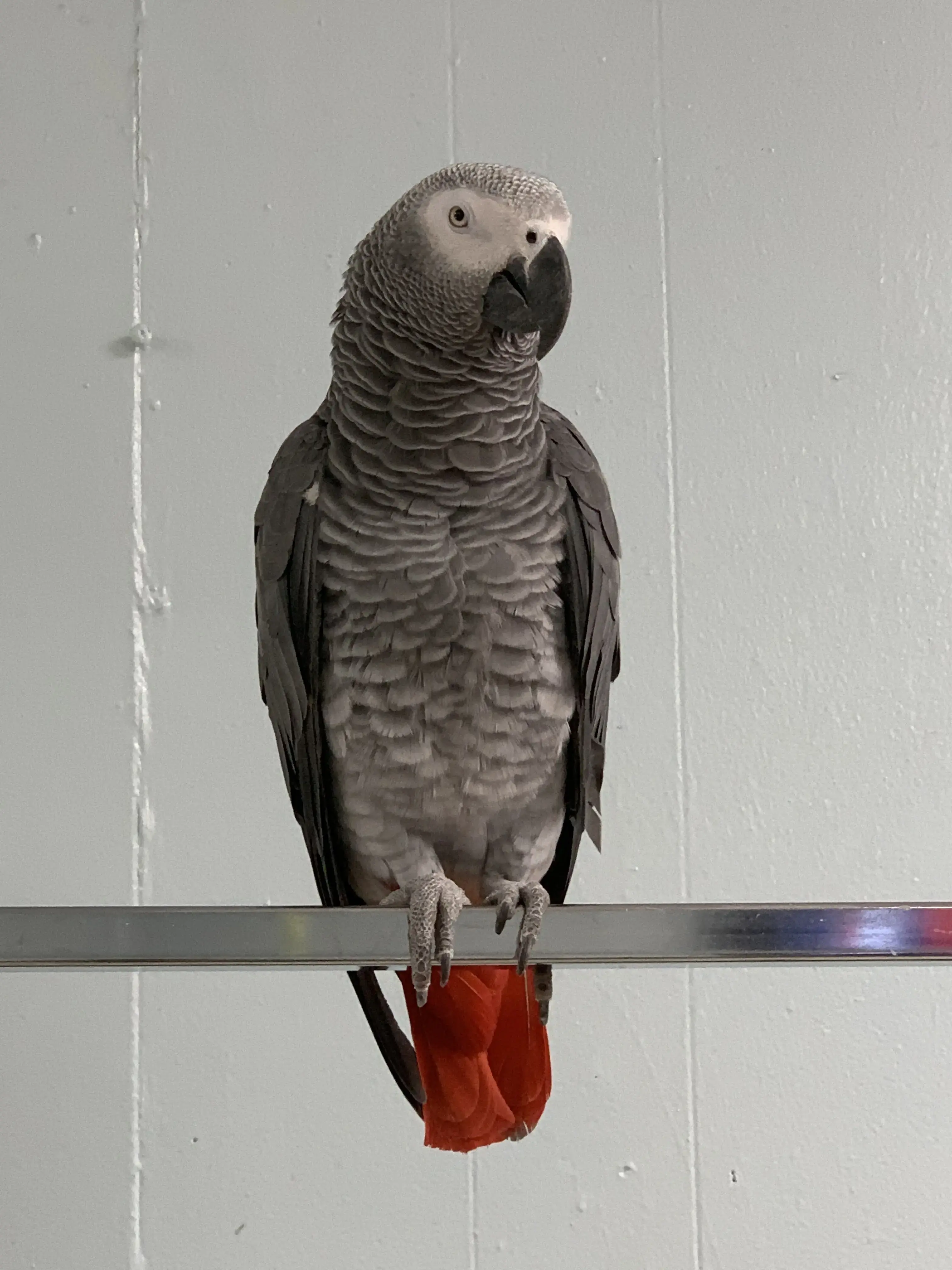 Bubbles Coin Laundry - Image 20