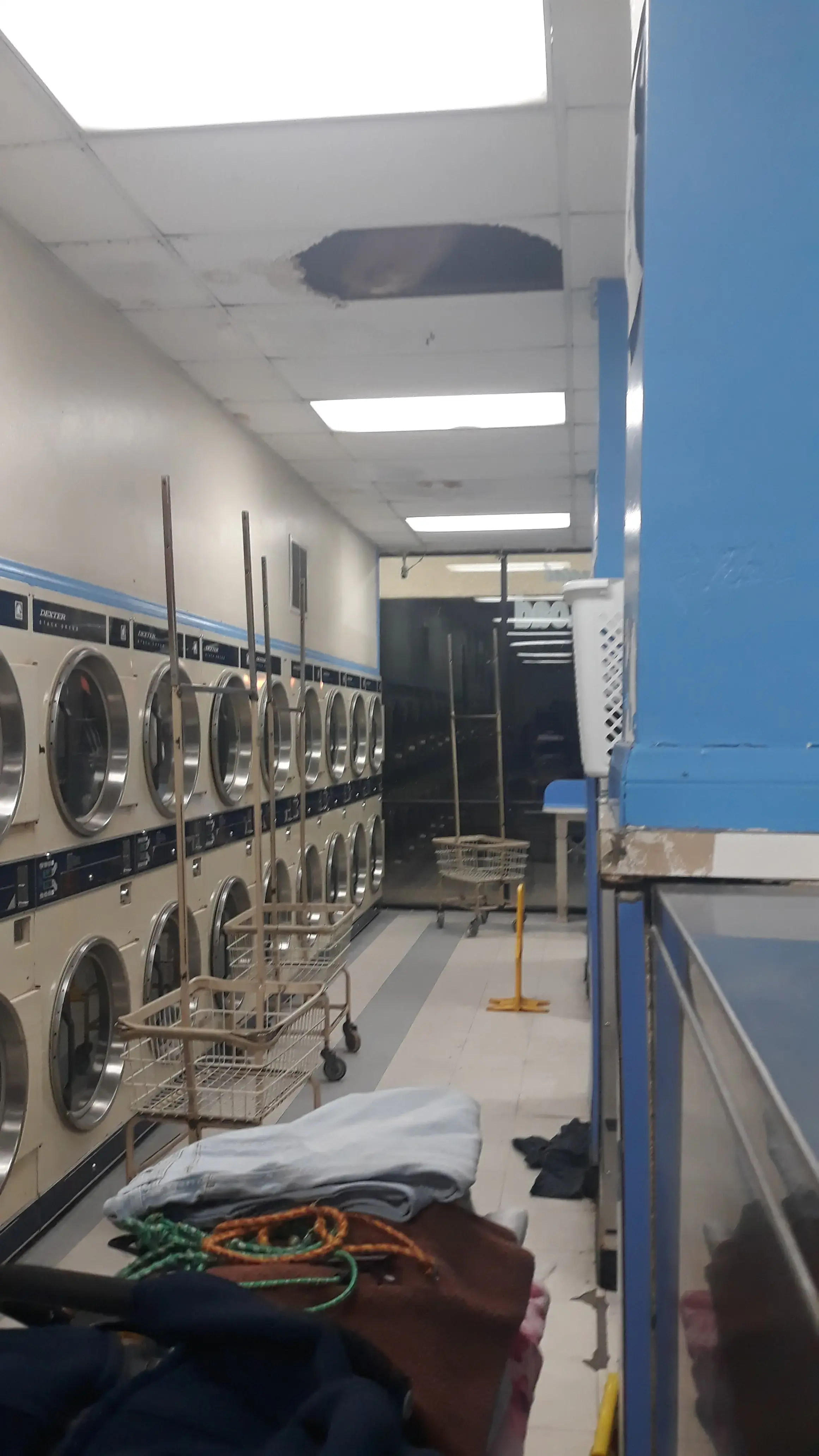 BubblyMat Laundry | Wash & Fold - Image 19