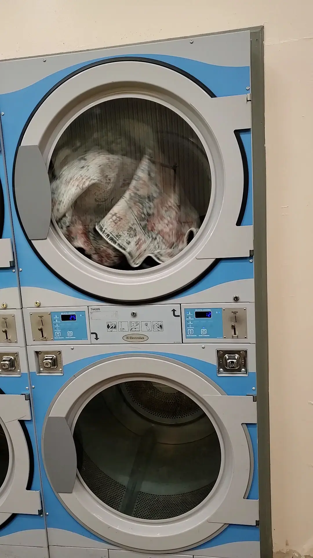 Buckley & Mexico Laundry thumbnail 9