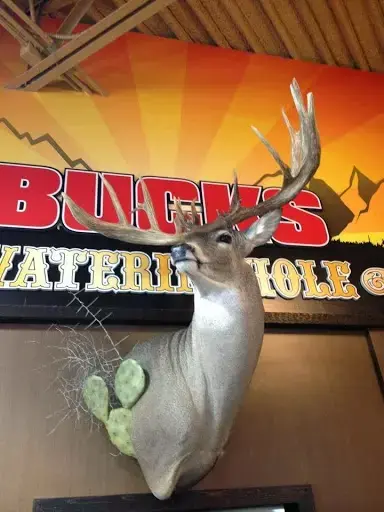 Bucks Country Store thumbnail 2