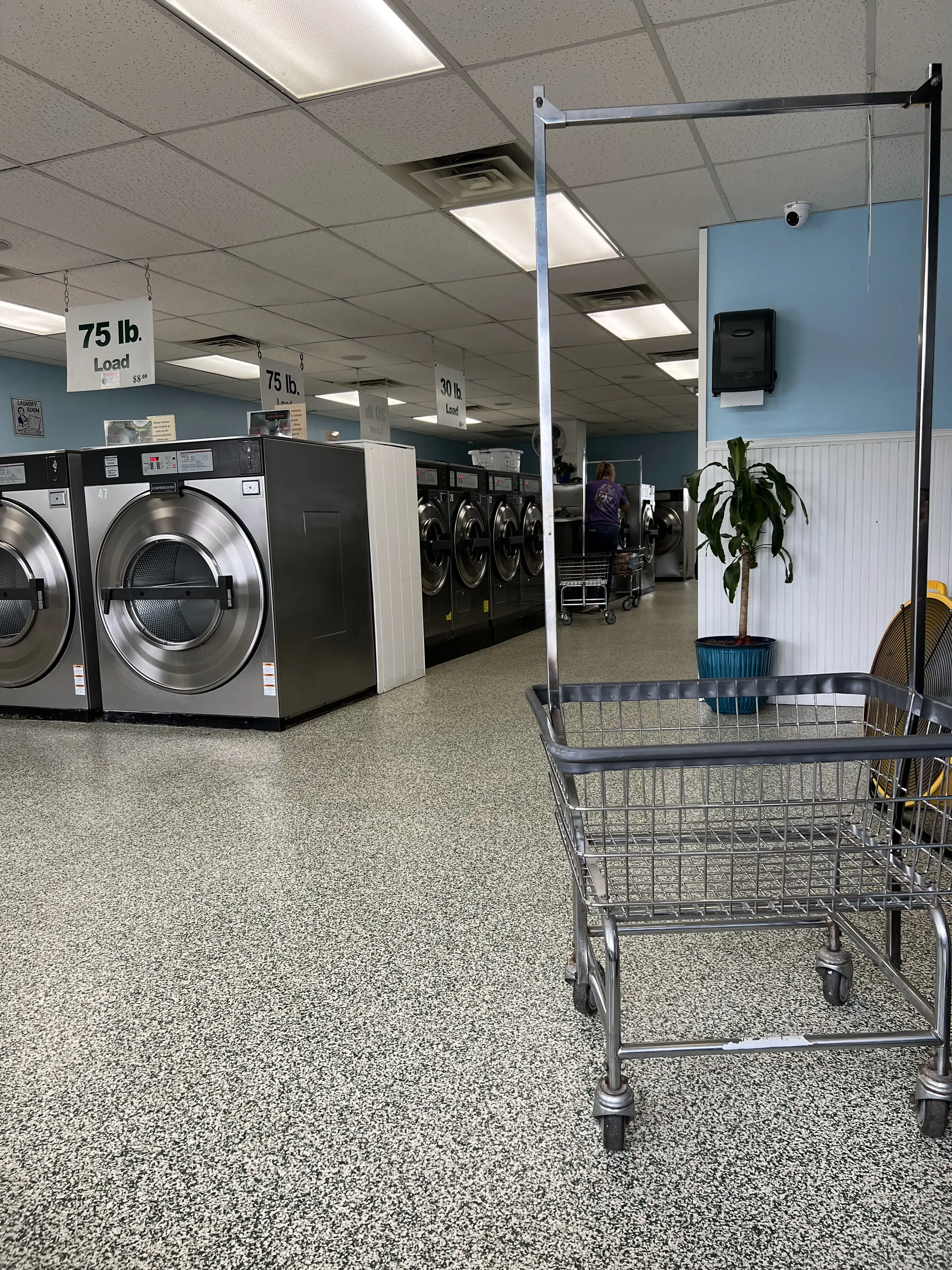Bufalo Family Laundromat thumbnail 19