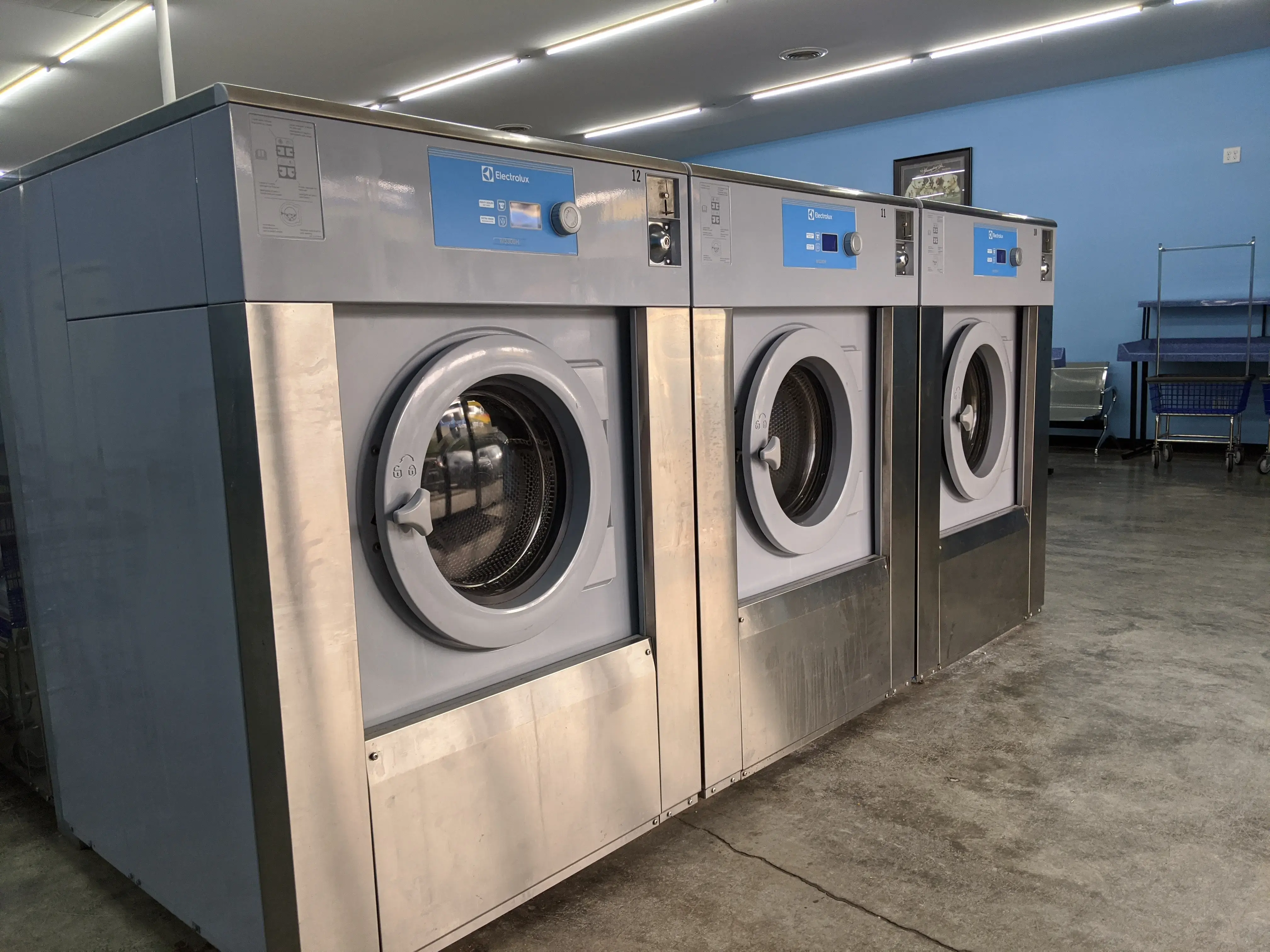 Bulldog Laundromat thumbnail 15