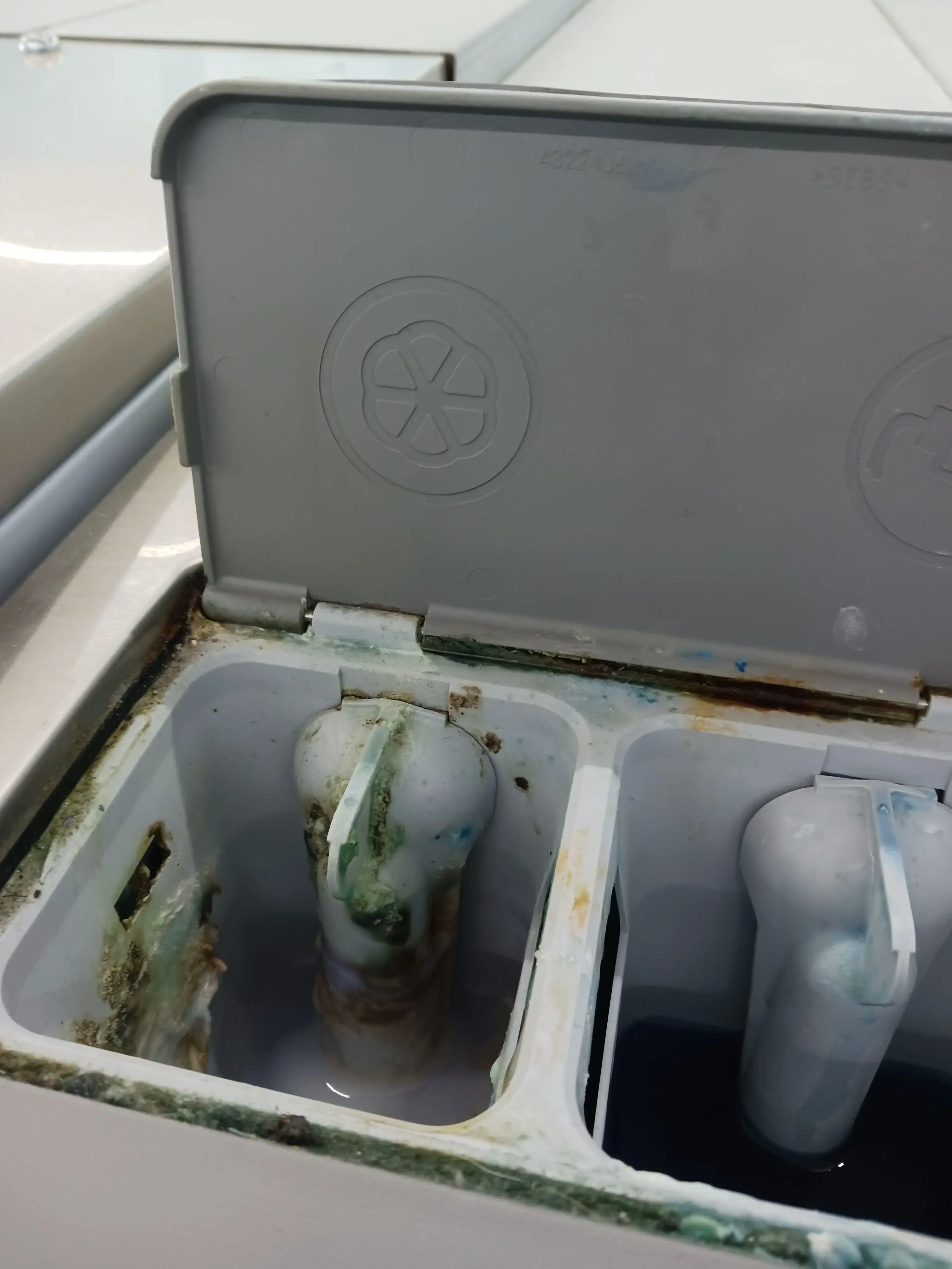 Bulldog Laundromat thumbnail 4