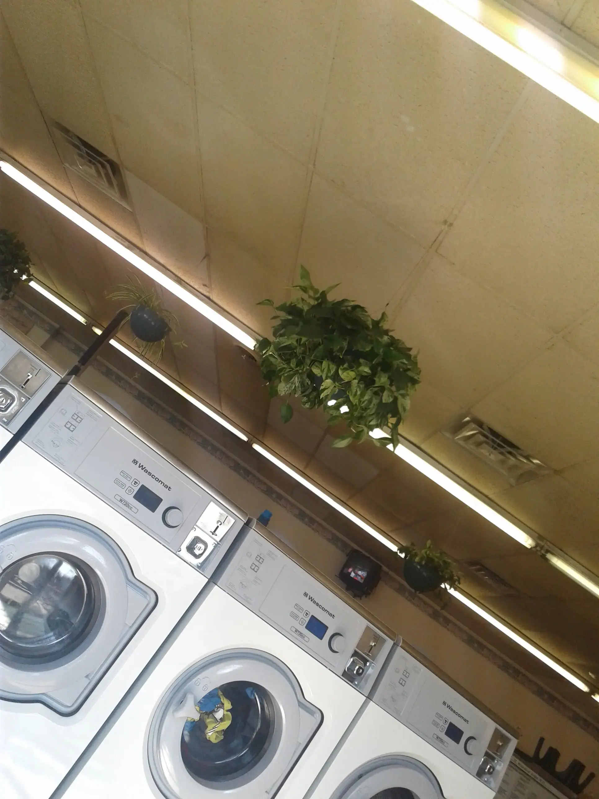 Burton's Laundry thumbnail 6