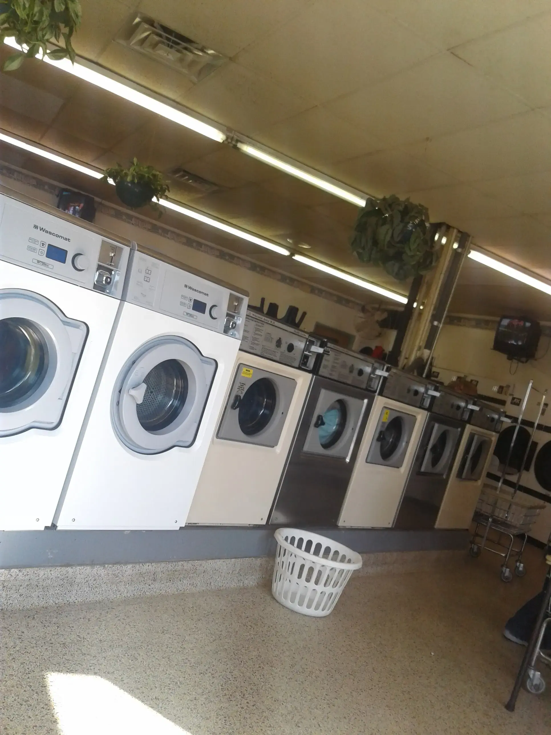 Burton's Laundry thumbnail 11