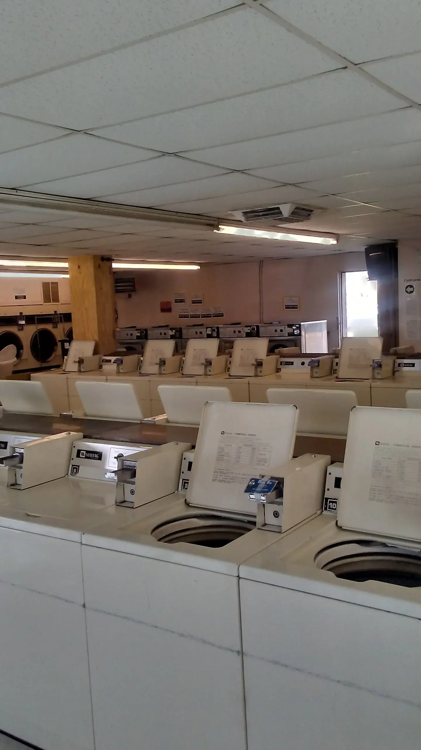 Busy Bee Coin Laundries thumbnail 14