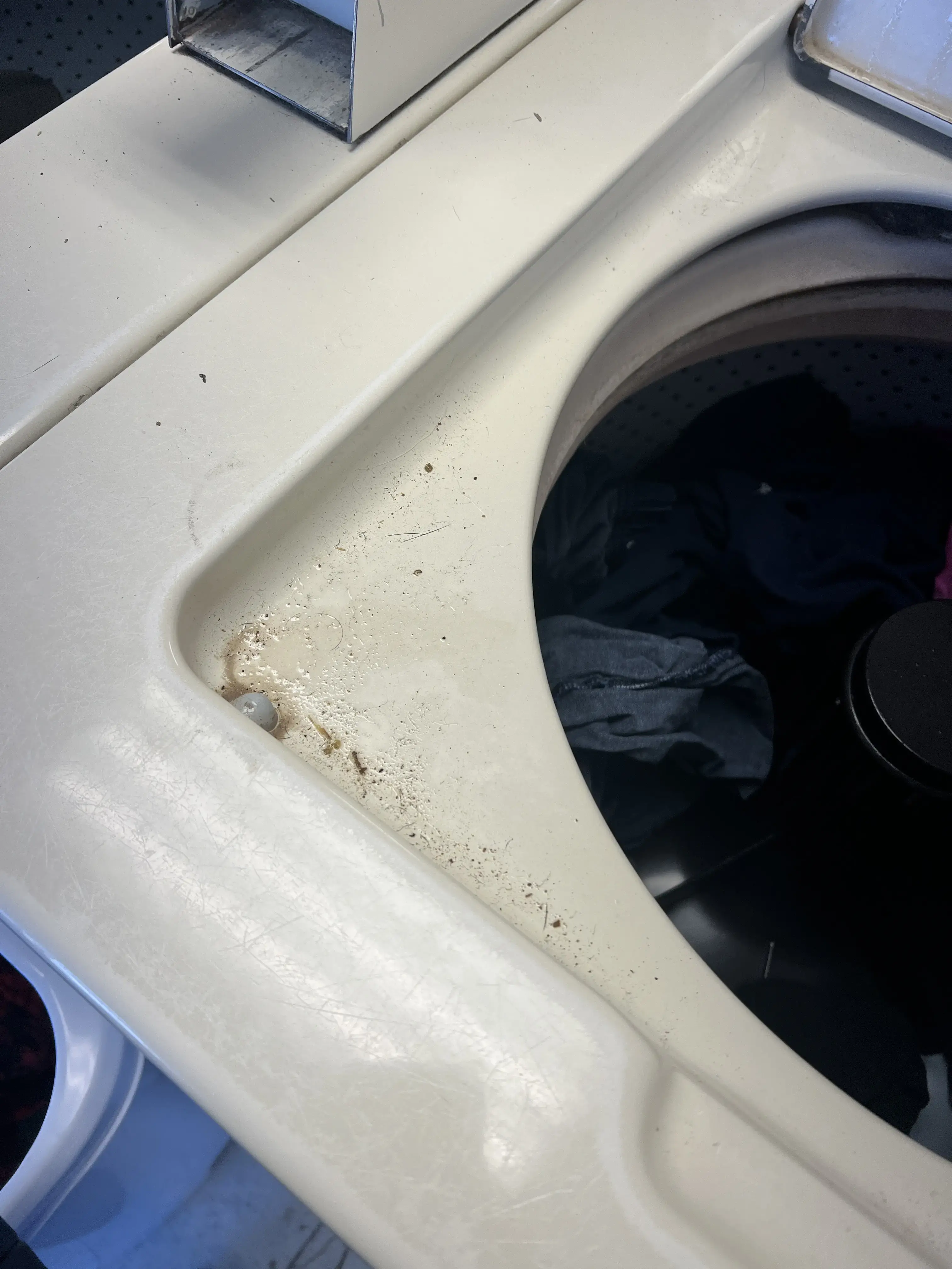 Busy Bee Coin Laundries thumbnail 20