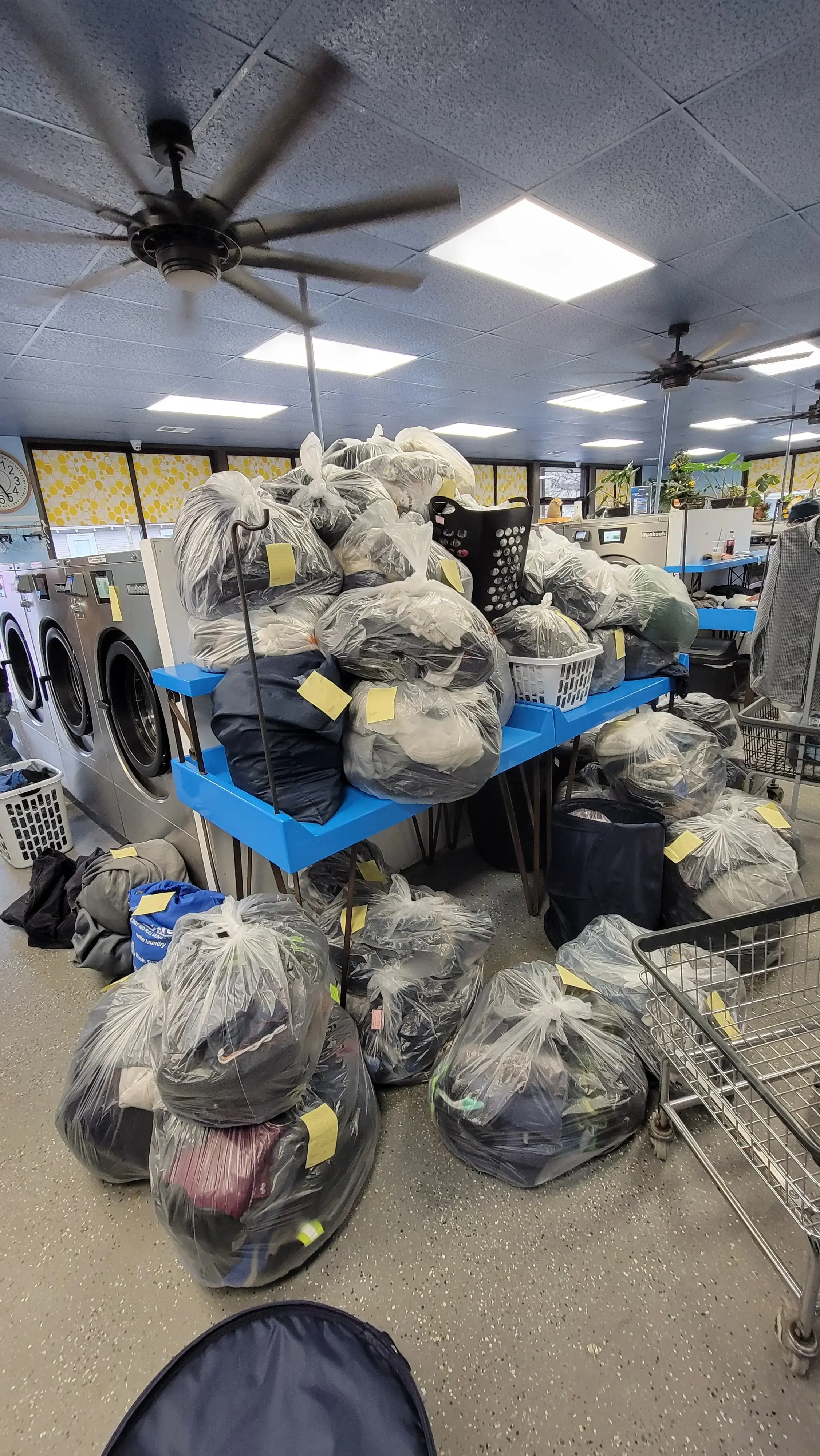 Busy Bee Laundry thumbnail 7