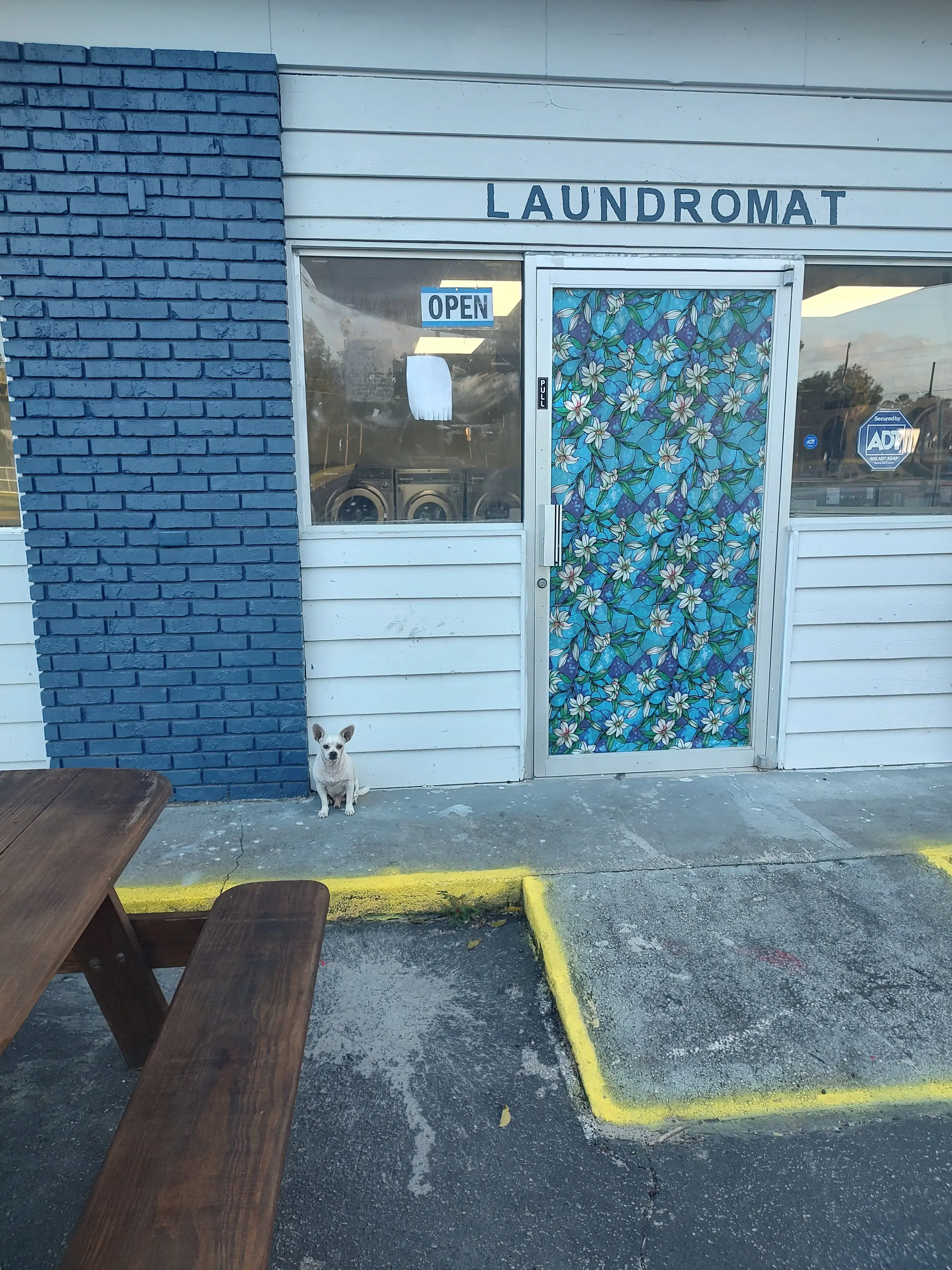 Busy Bee's Laundromat - Image 14