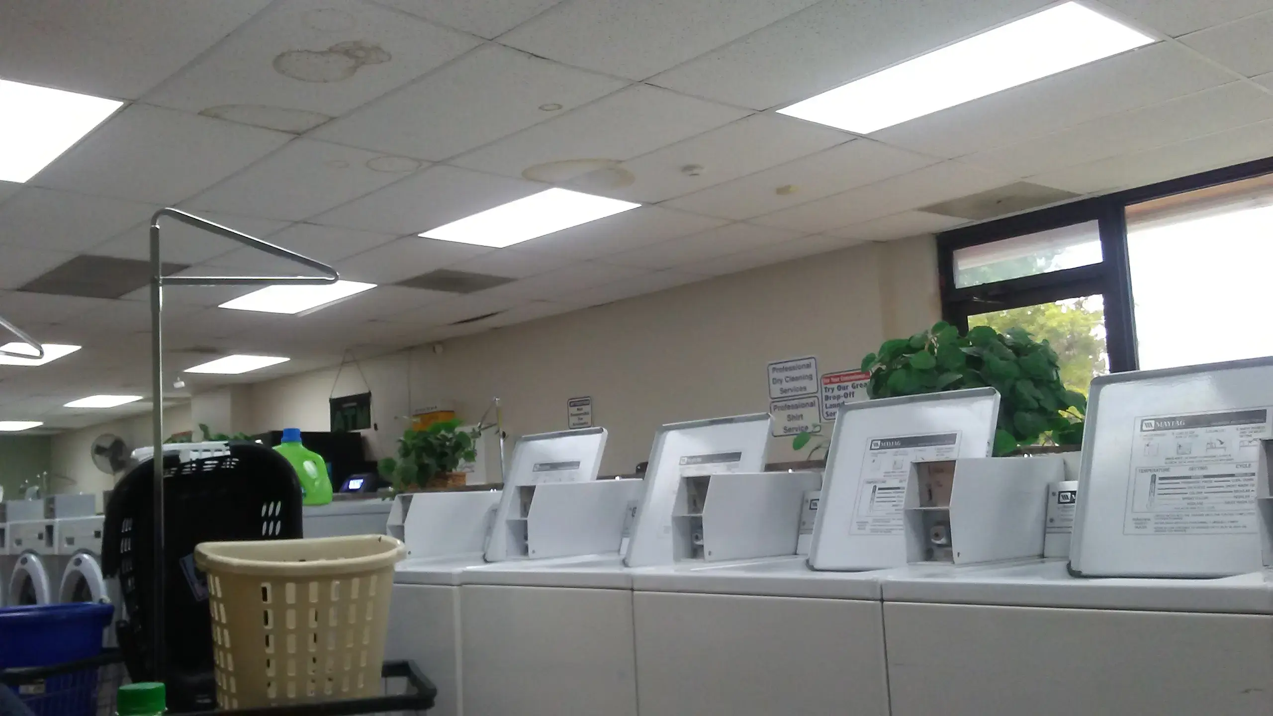 Busy Bubbles Laundry - Image 3
