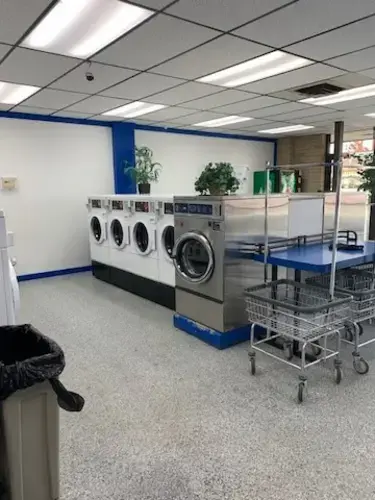 Butler Washing Well - Image 10