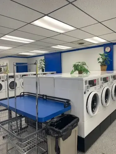 Butler Washing Well - Image 9