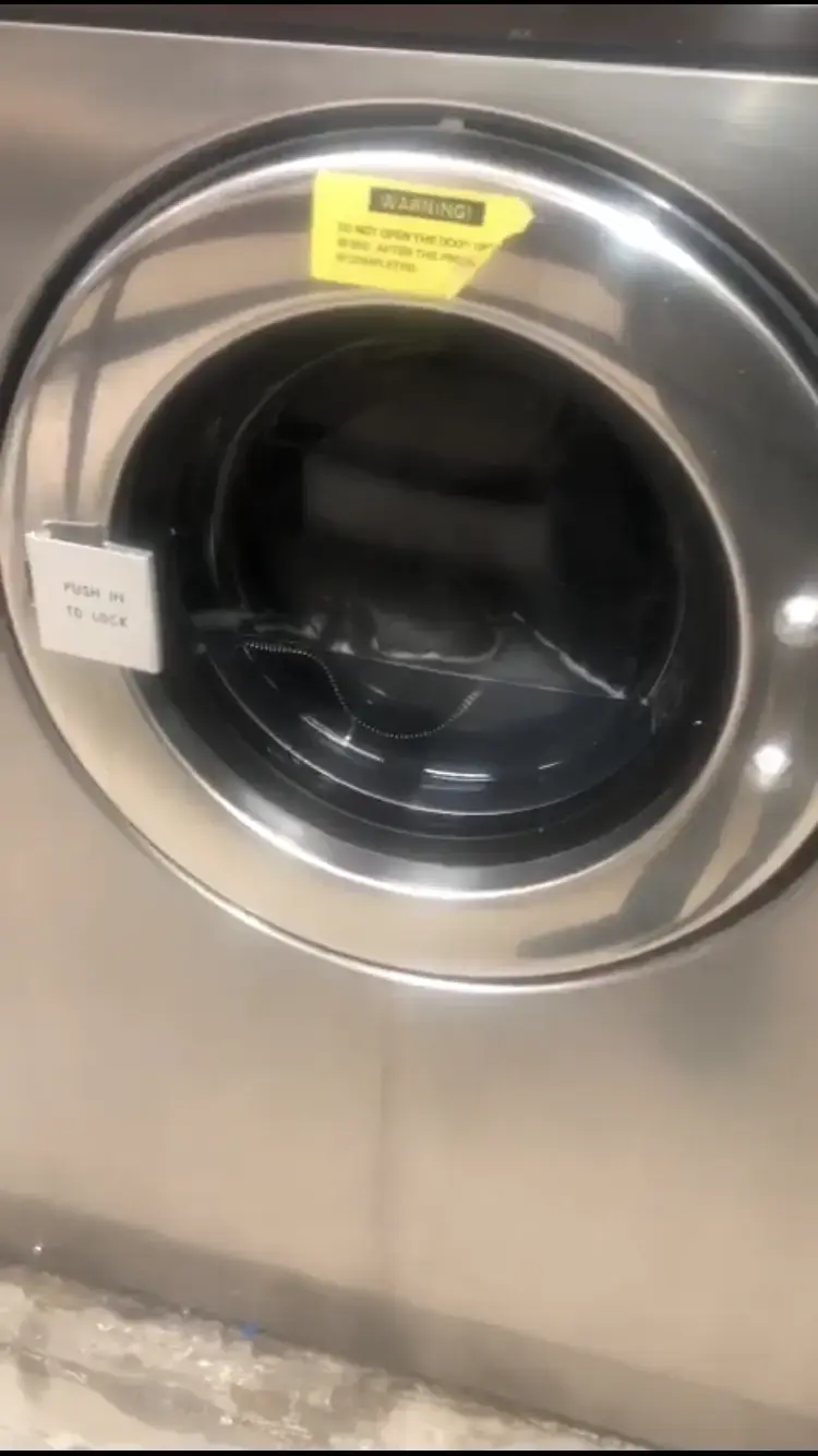 BXQ Laundromat - Image 3