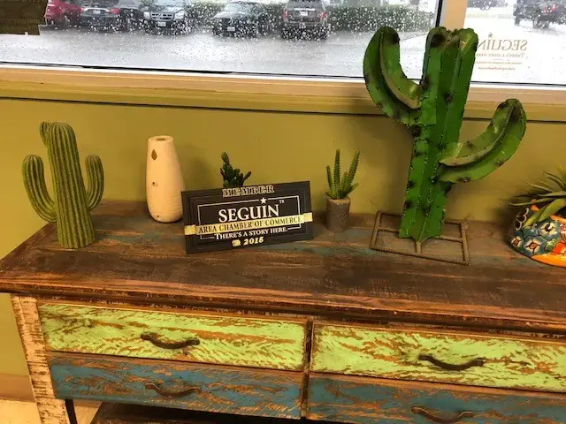Cactus Cleaners - Image 3