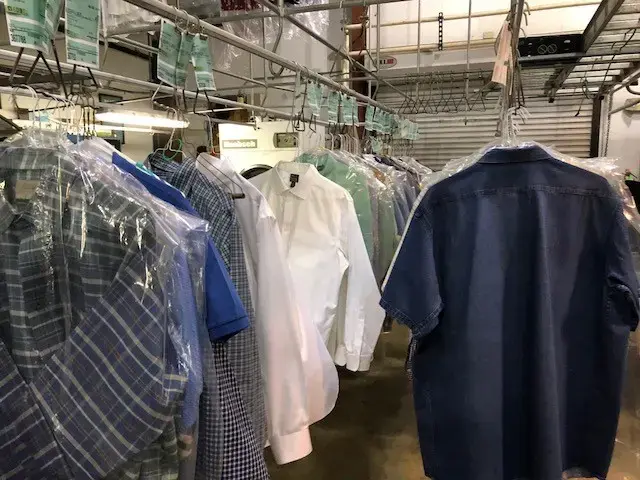 Cactus Cleaners thumbnail 10