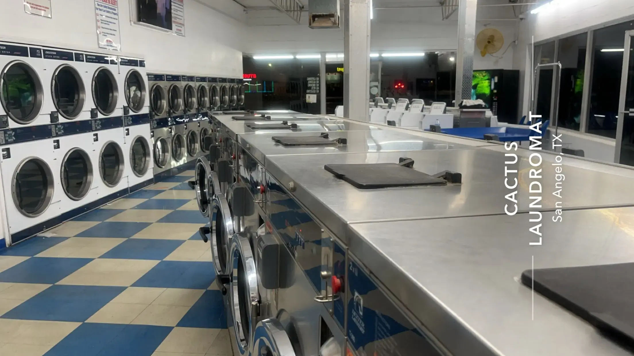 Cactus Laundromat - Image 6
