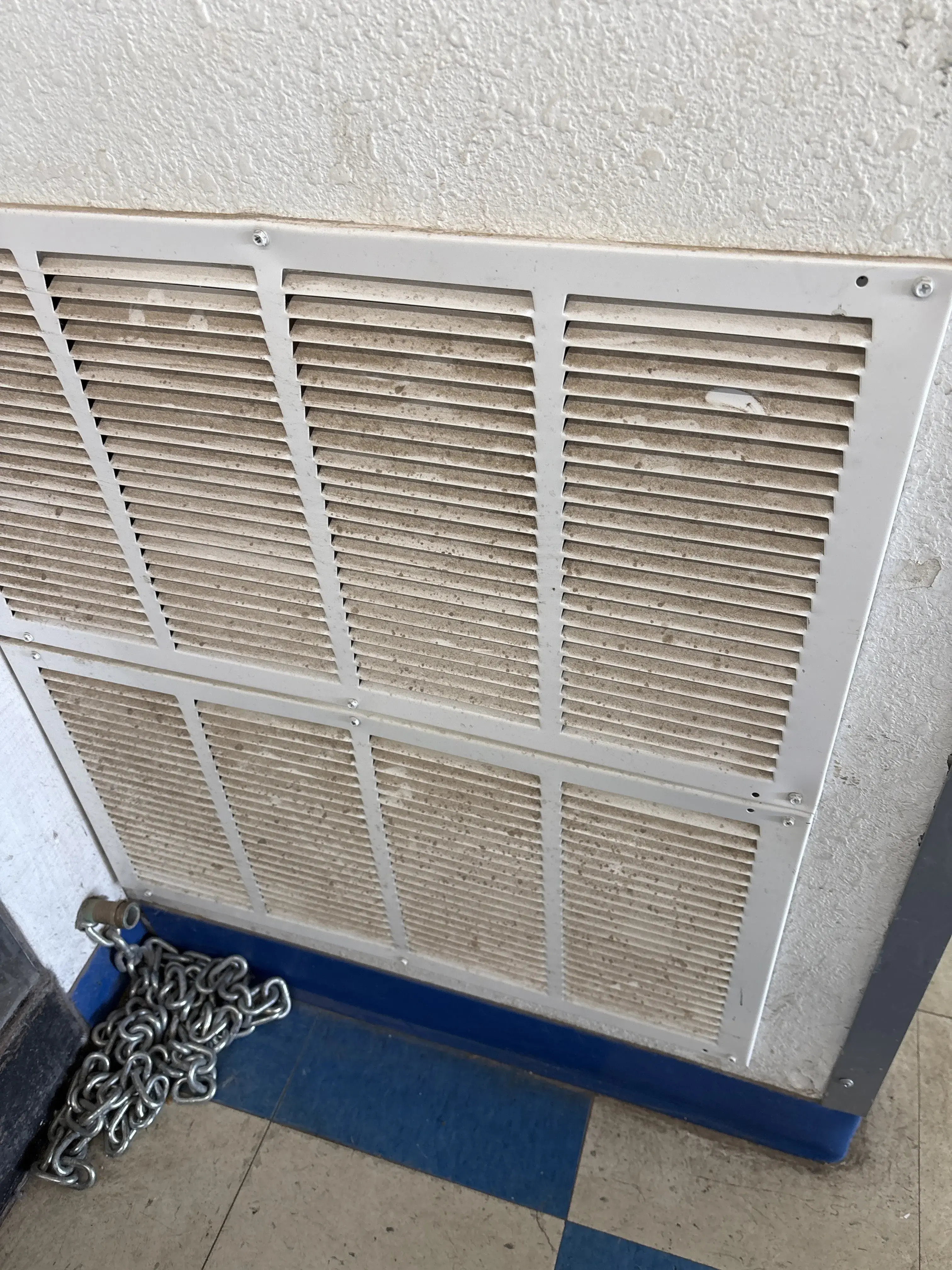 Cactus Laundromat - Image 19