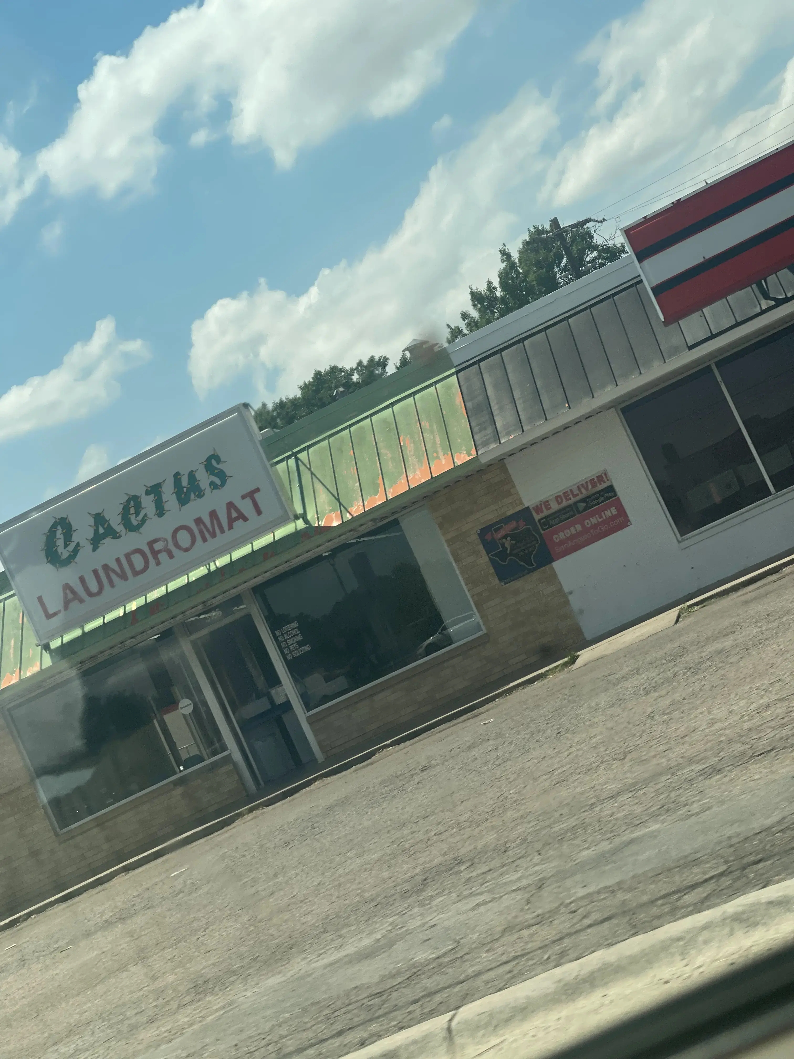 Cactus Laundromat - Image 11