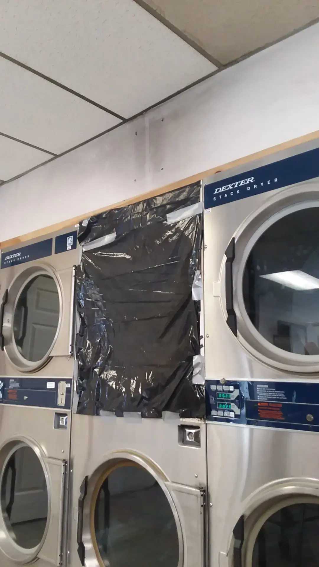 Caitlin's Wash & Dry - Image 8