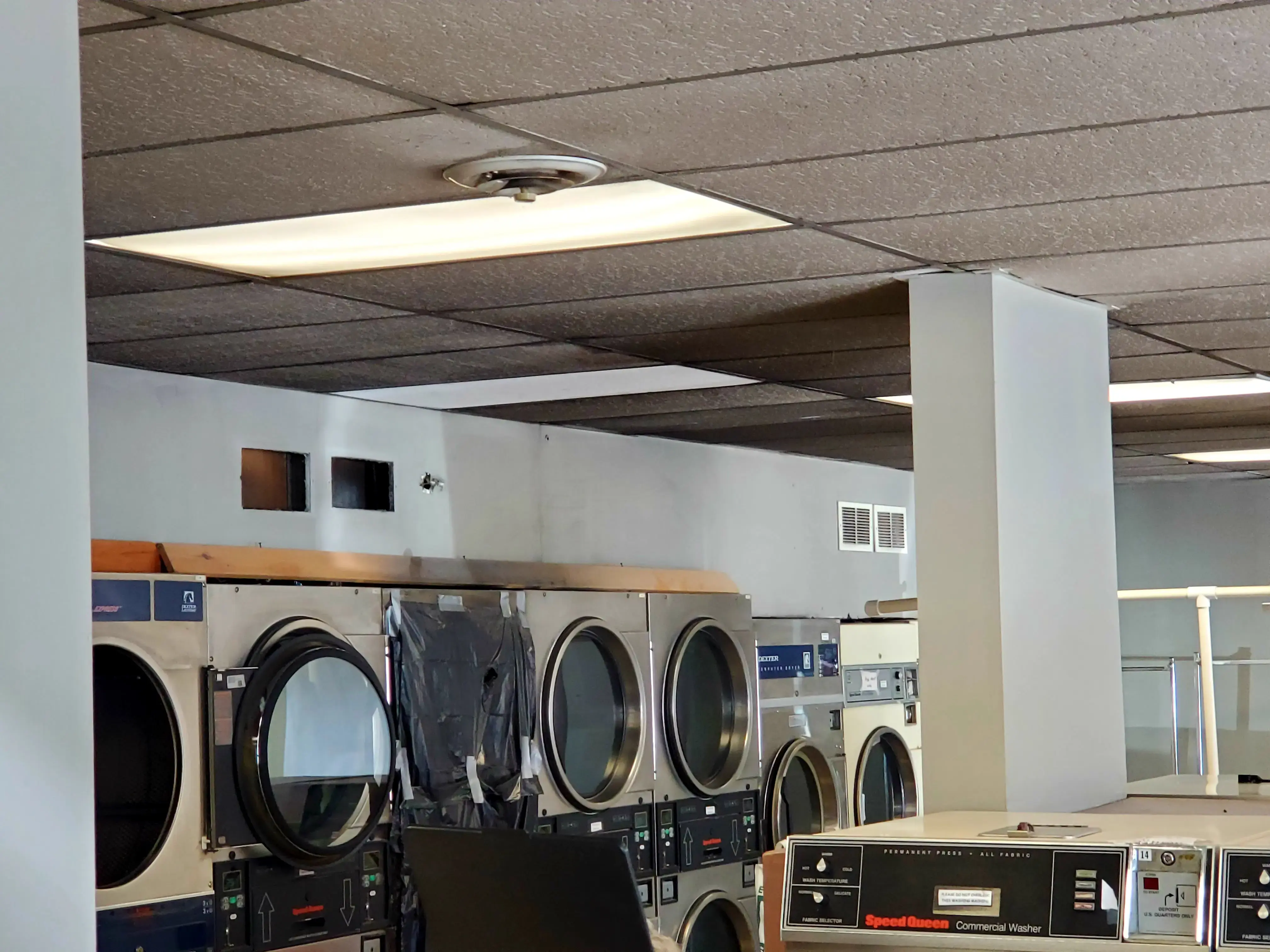 Caitlin's Wash & Dry - Image 13