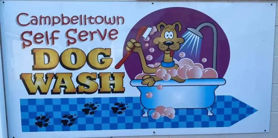 Campbelltown Laundromat, Car Wash and Dog Wash - Image 8