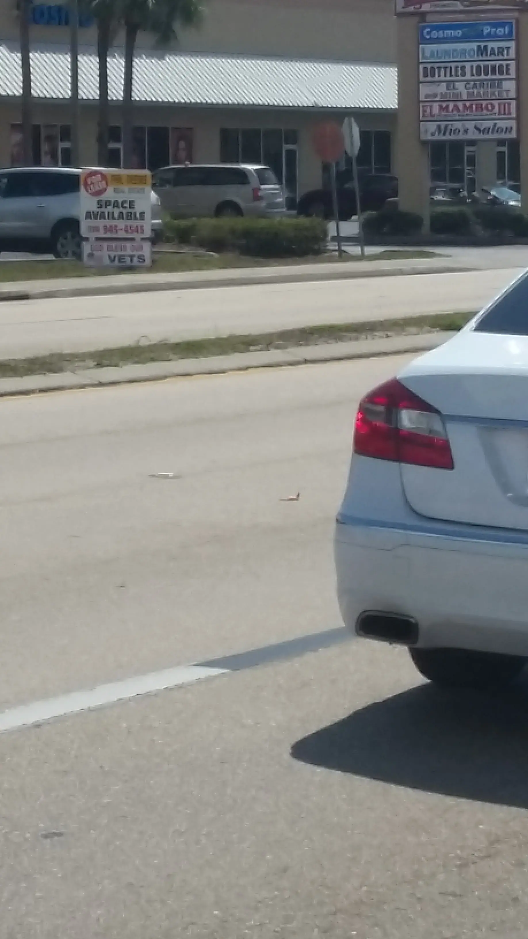 Cape Coral Laundromart thumbnail 6