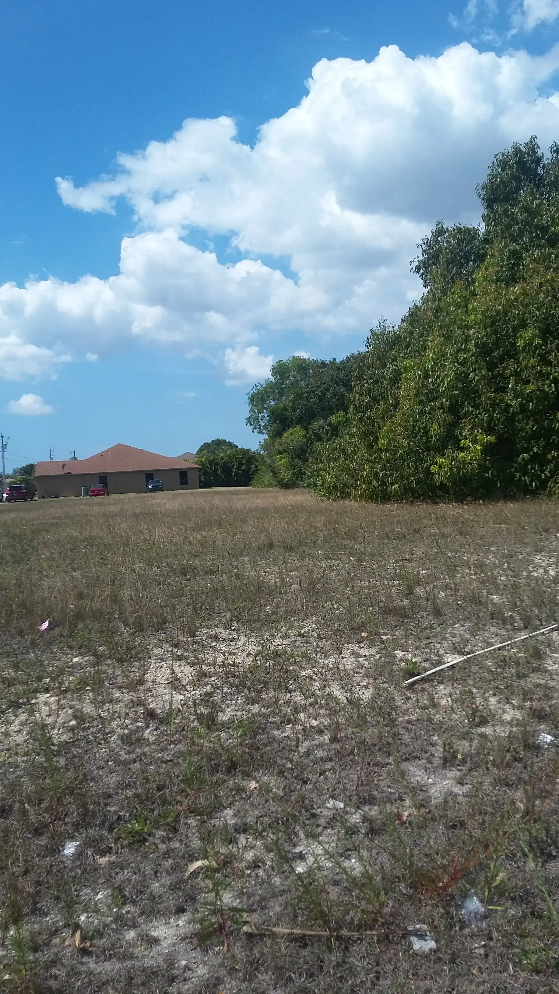 Cape Coral Laundromart thumbnail 10