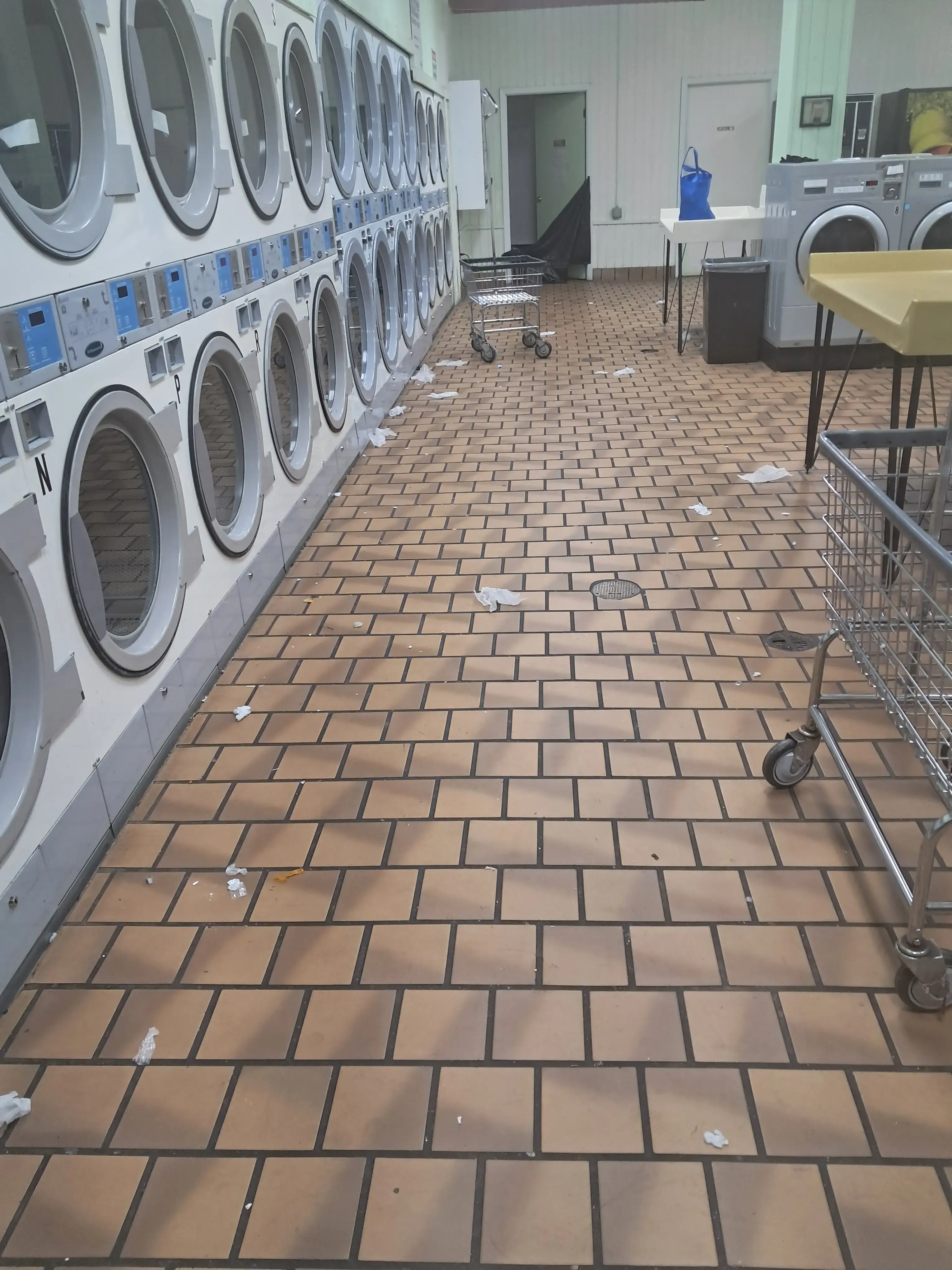 Cardinal Cleaners thumbnail 12