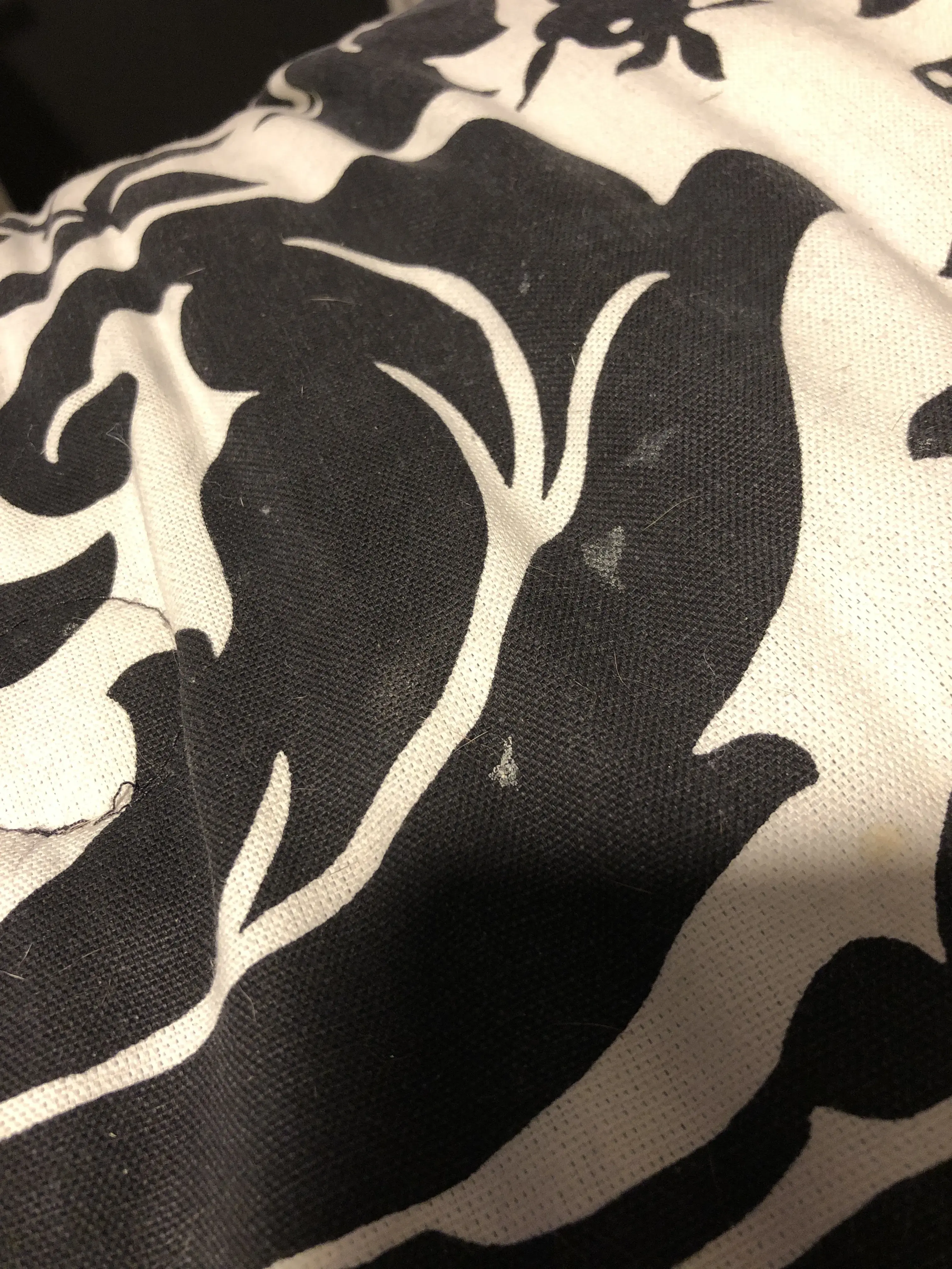 Careful Cleaners - Image 3