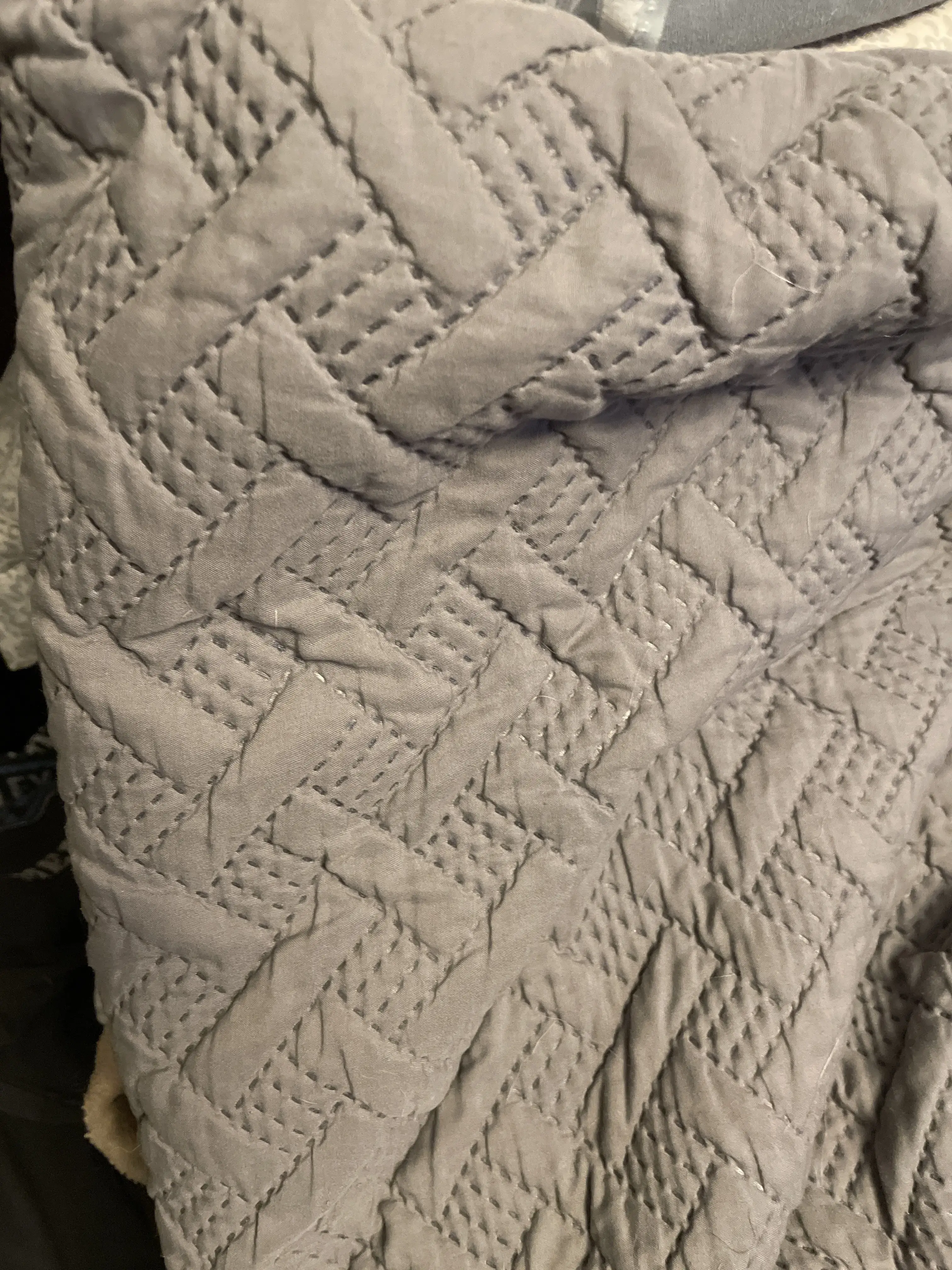 Carriage Cleaners - Image 3