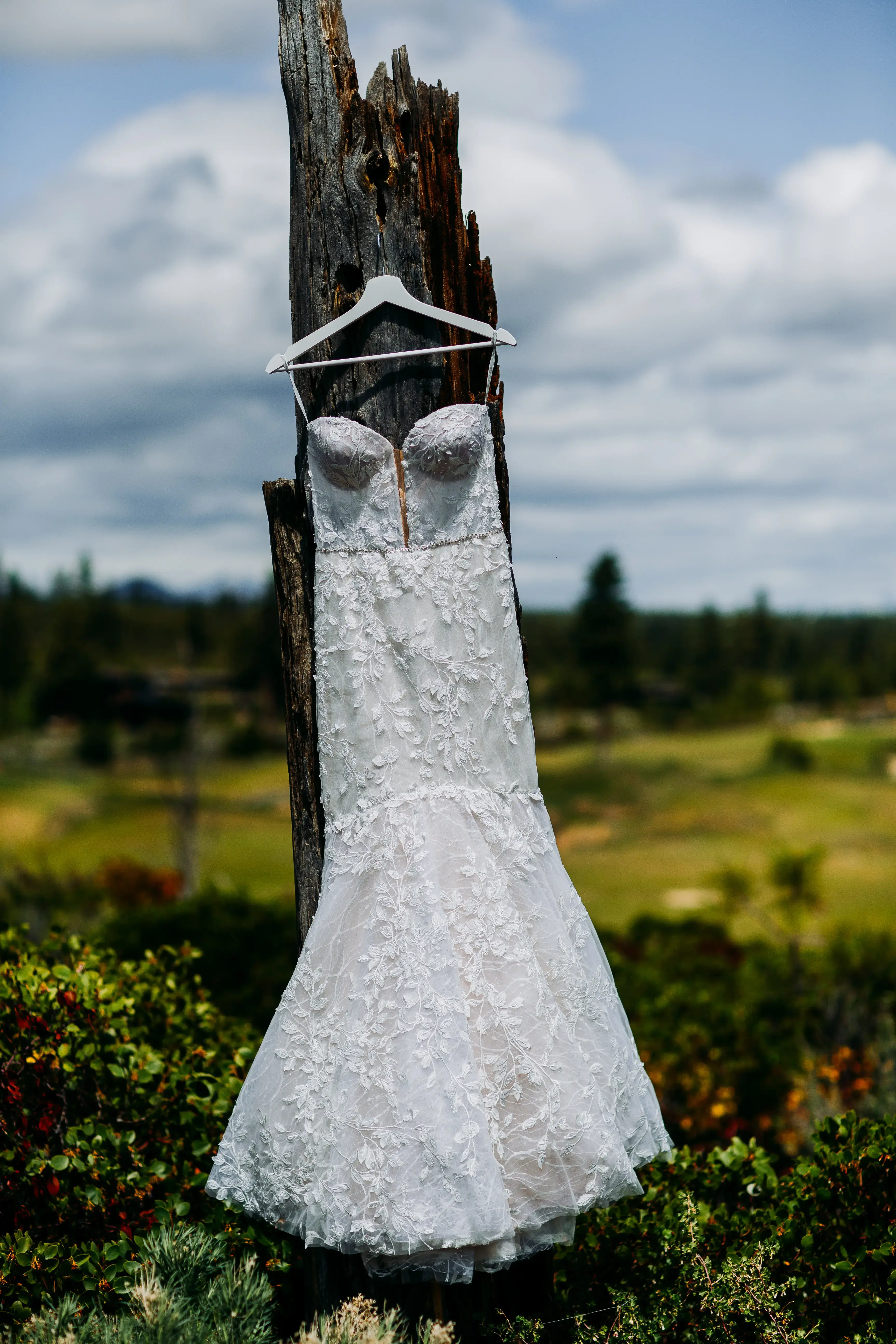 Cascade Cleaners thumbnail 2
