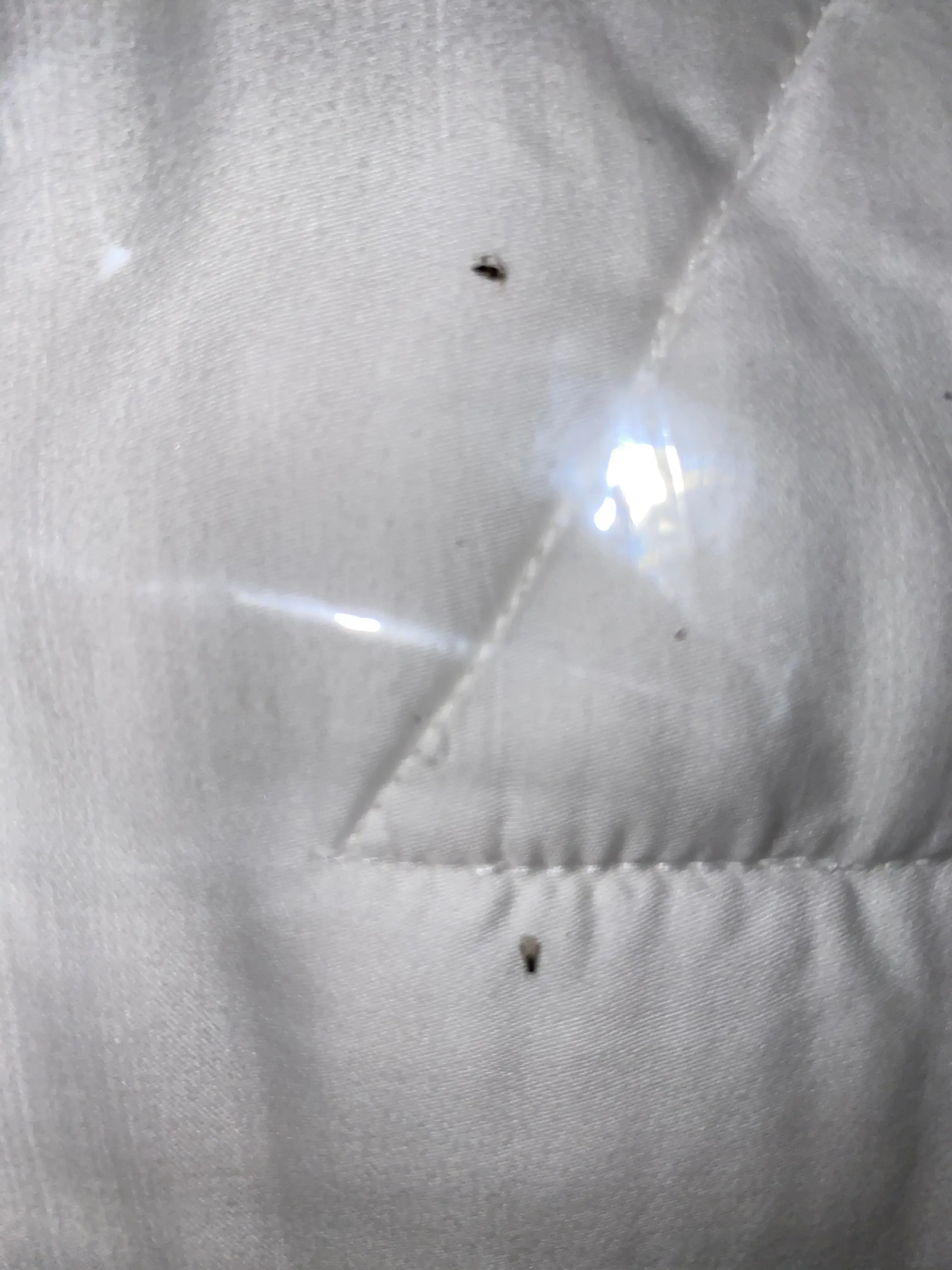 CD One Price Cleaners - Image 13