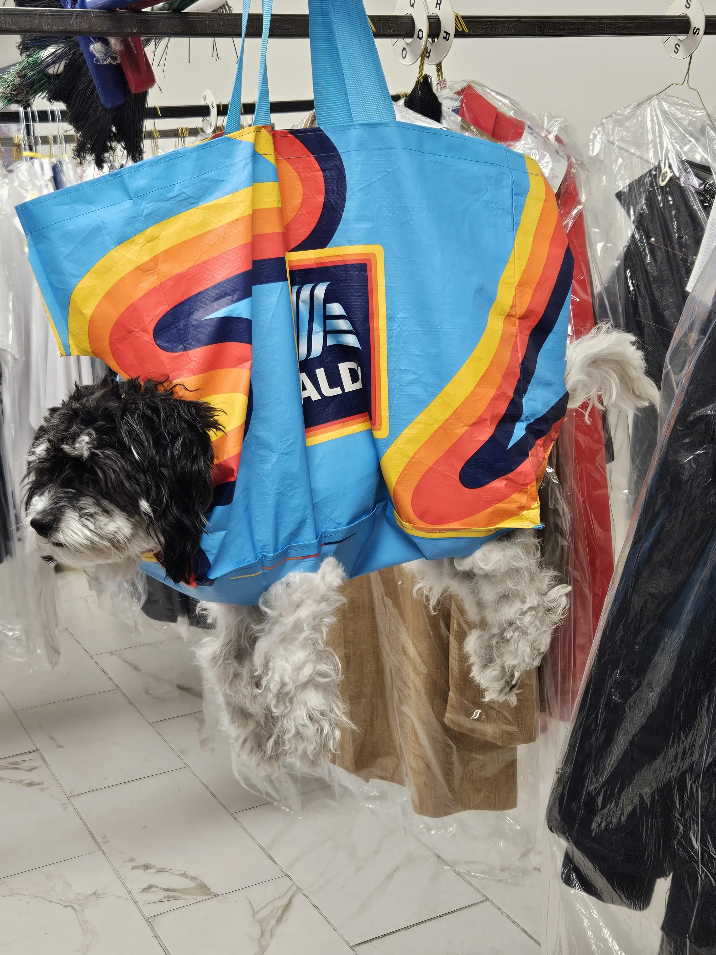 CD One Price Cleaners thumbnail 16