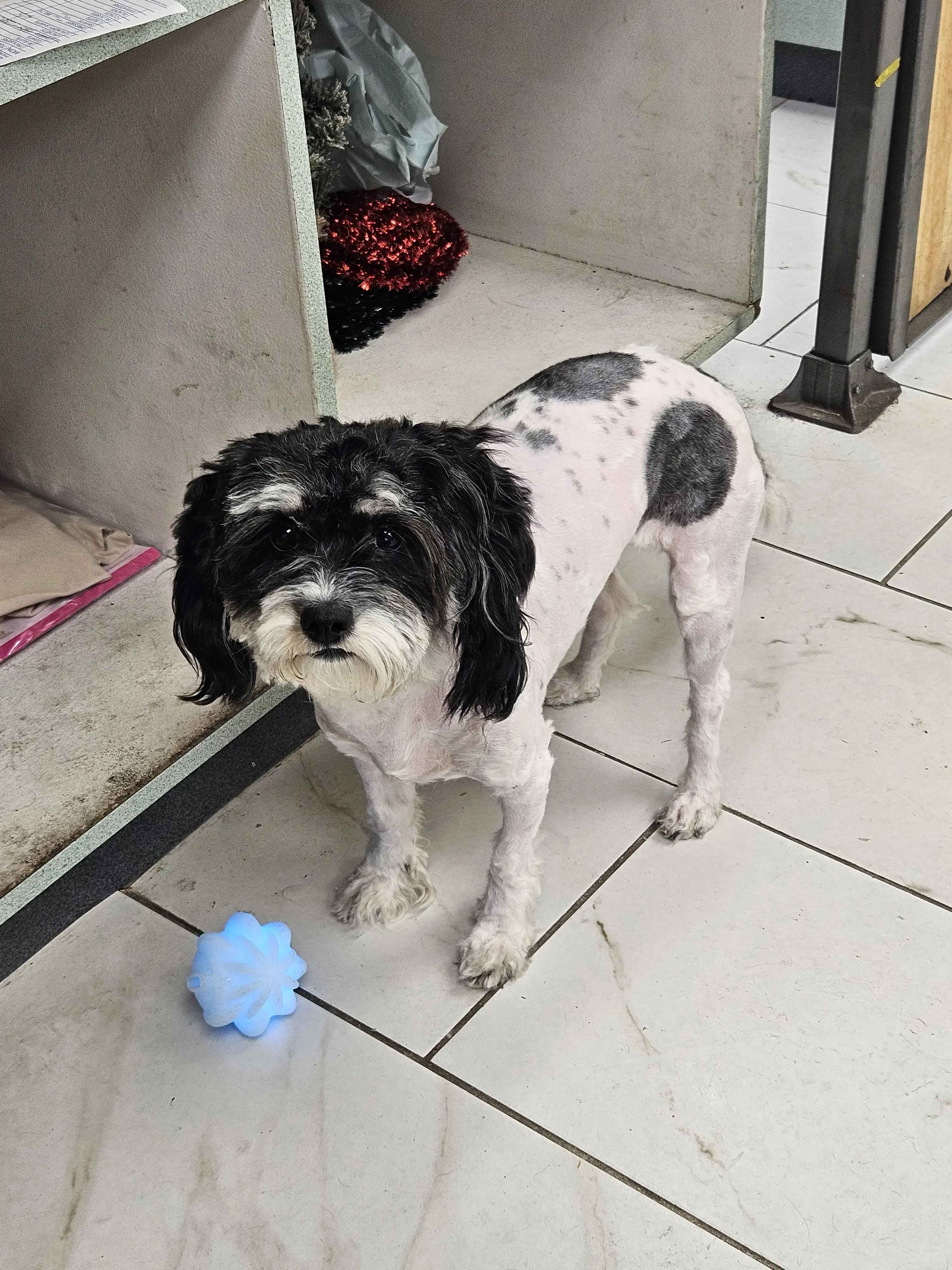 CD One Price Cleaners thumbnail 11