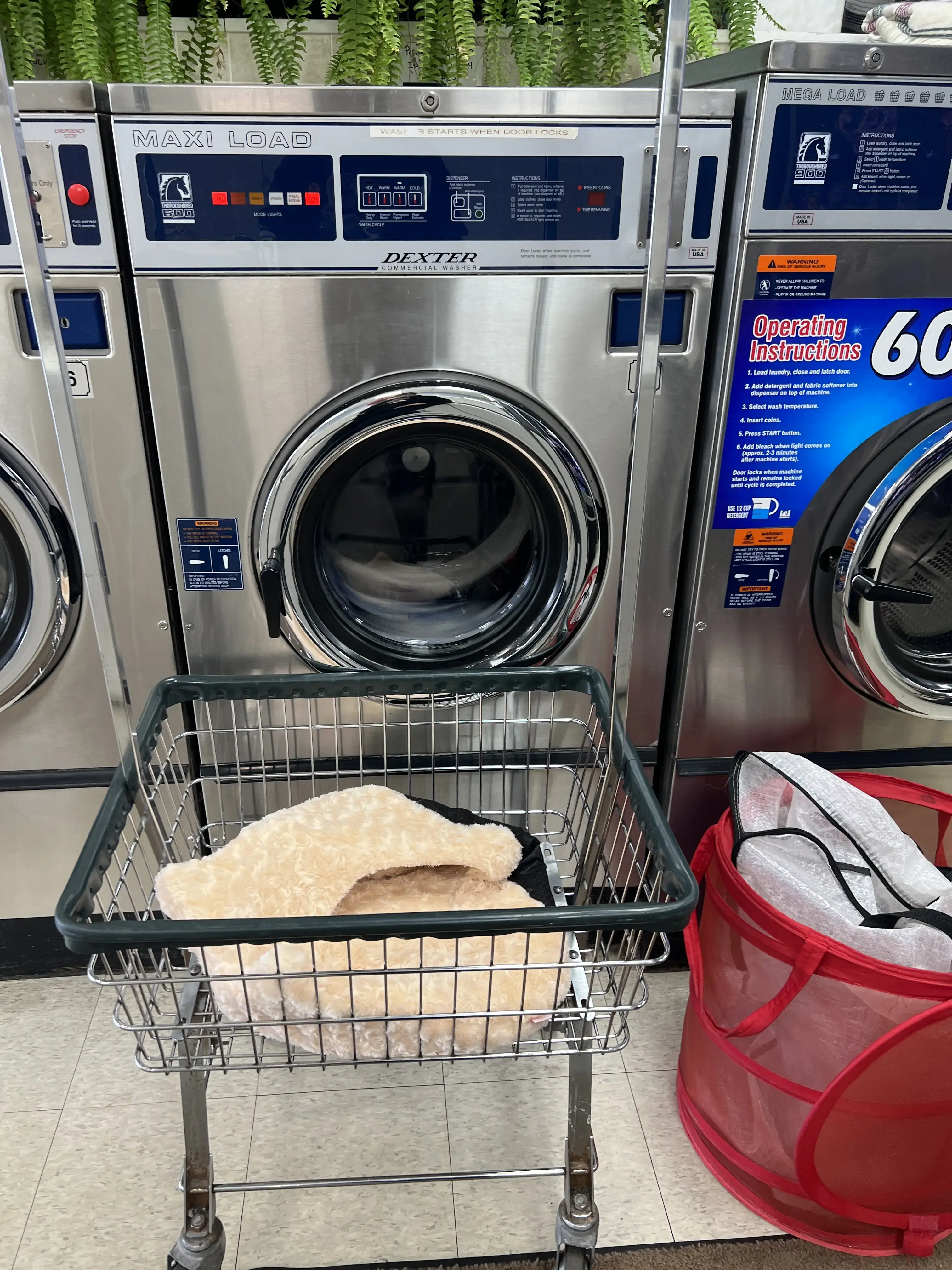 Cedarwood Quick Wash - Image 10