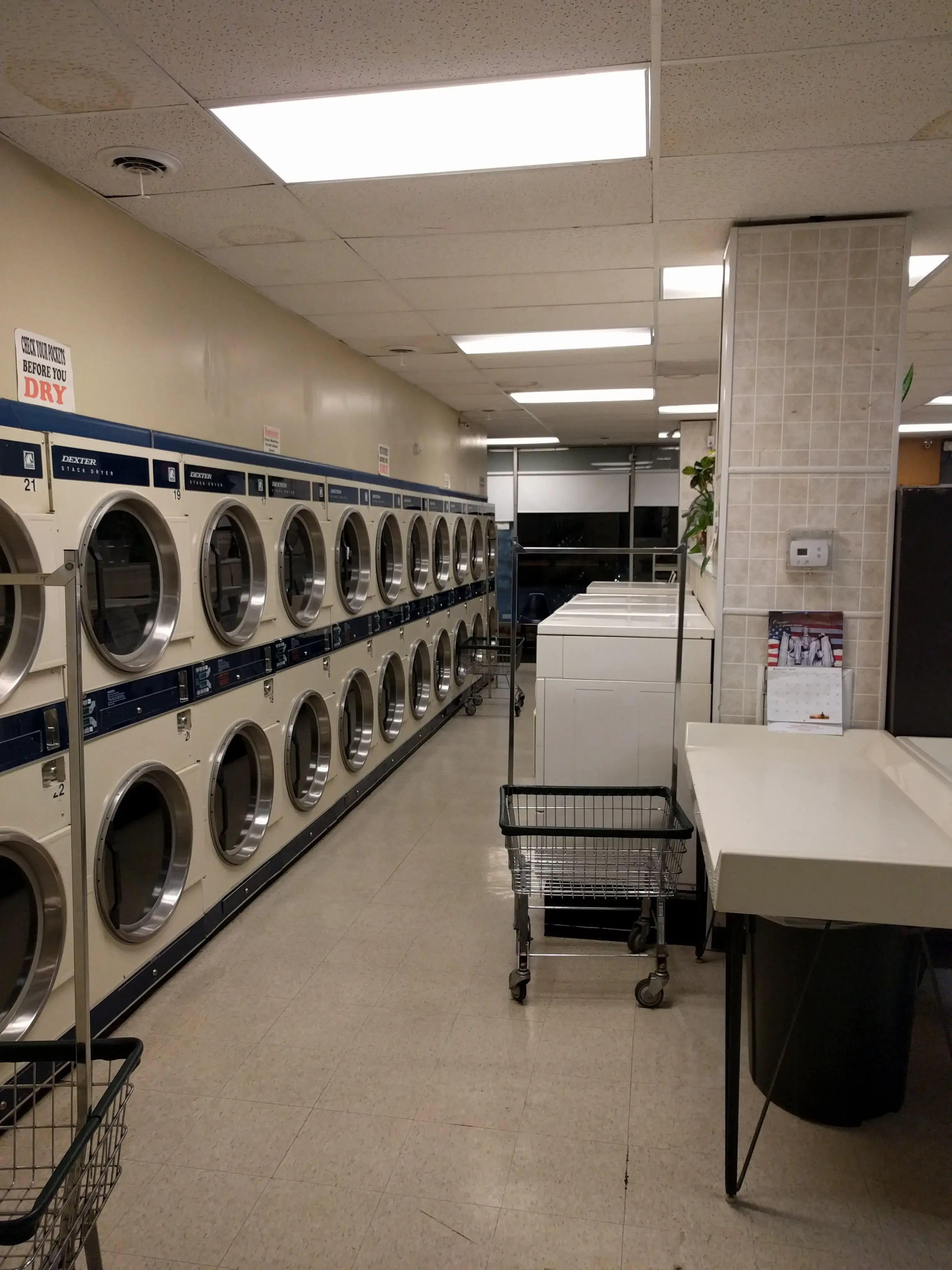 Cedarwood Quick Wash - Image 15