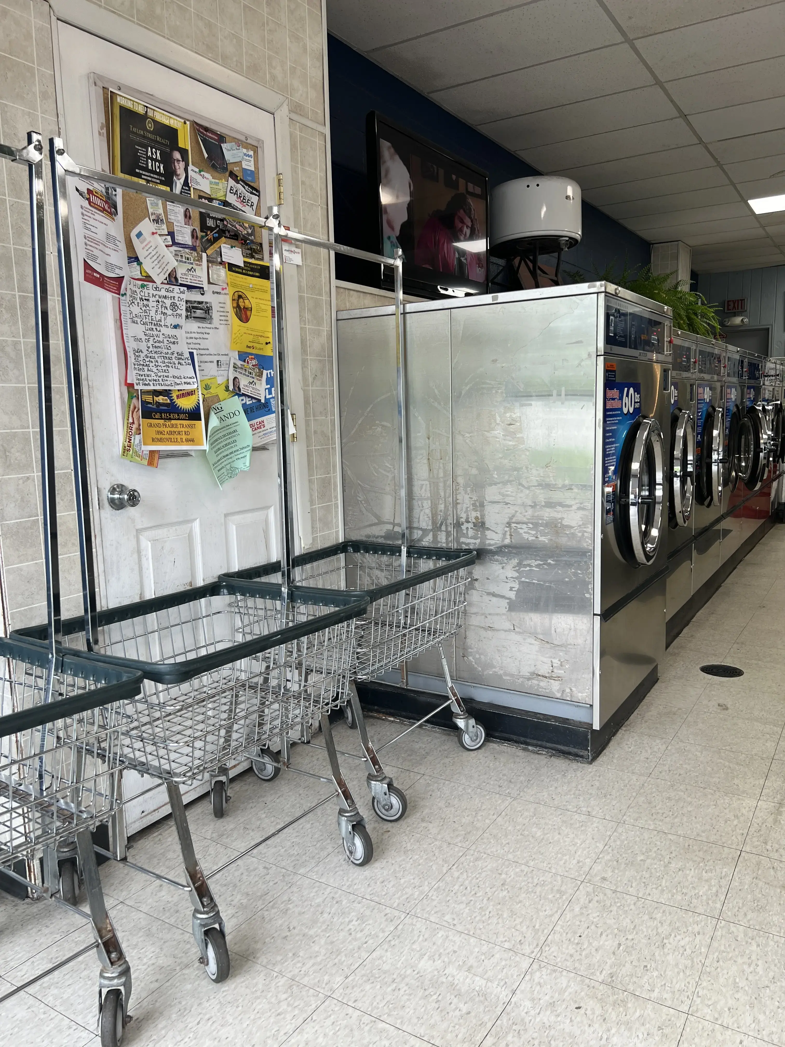 Cedarwood Quick Wash thumbnail 3