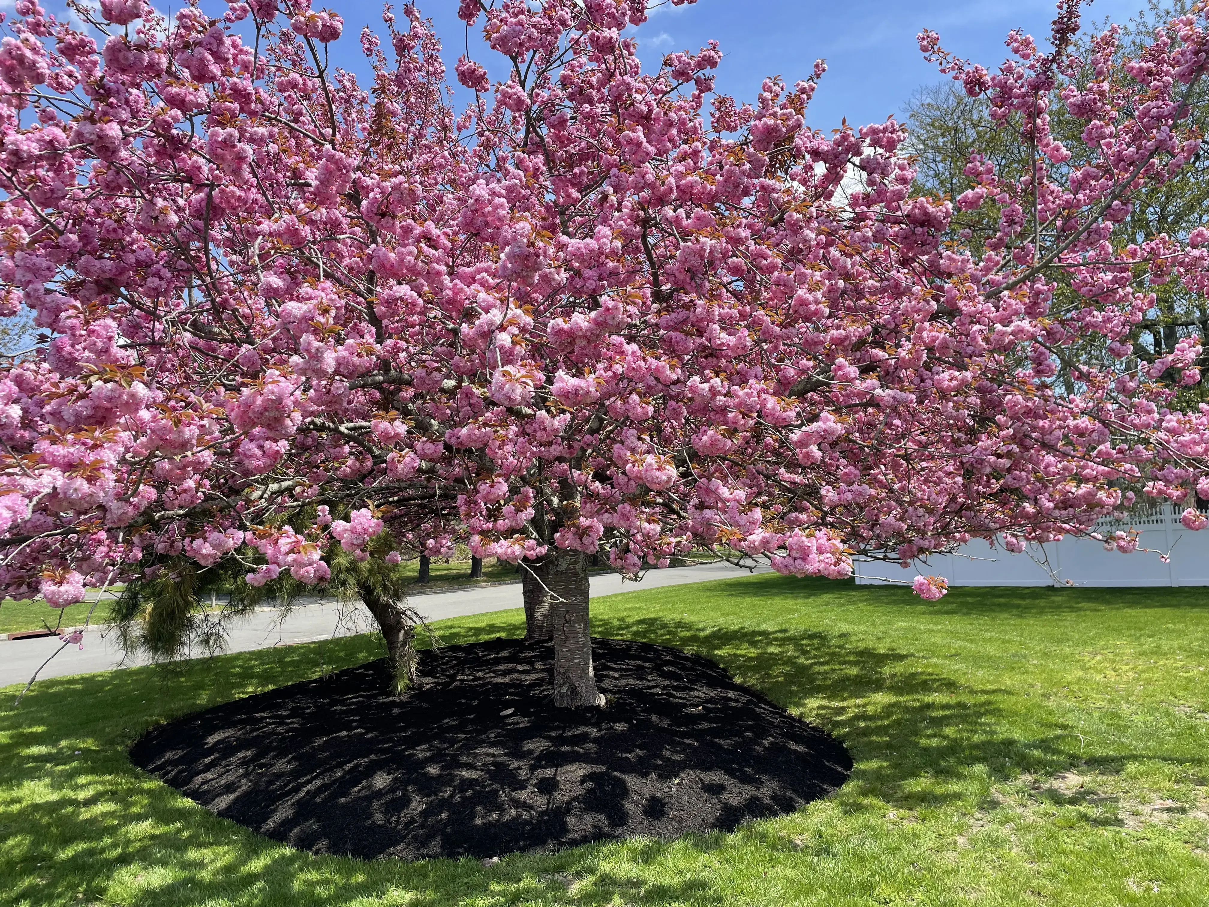 Center Moriches Laundromat thumbnail 2