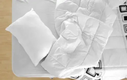 Central Cleaners and Shirt Laundry--Palos Heights thumbnail 9