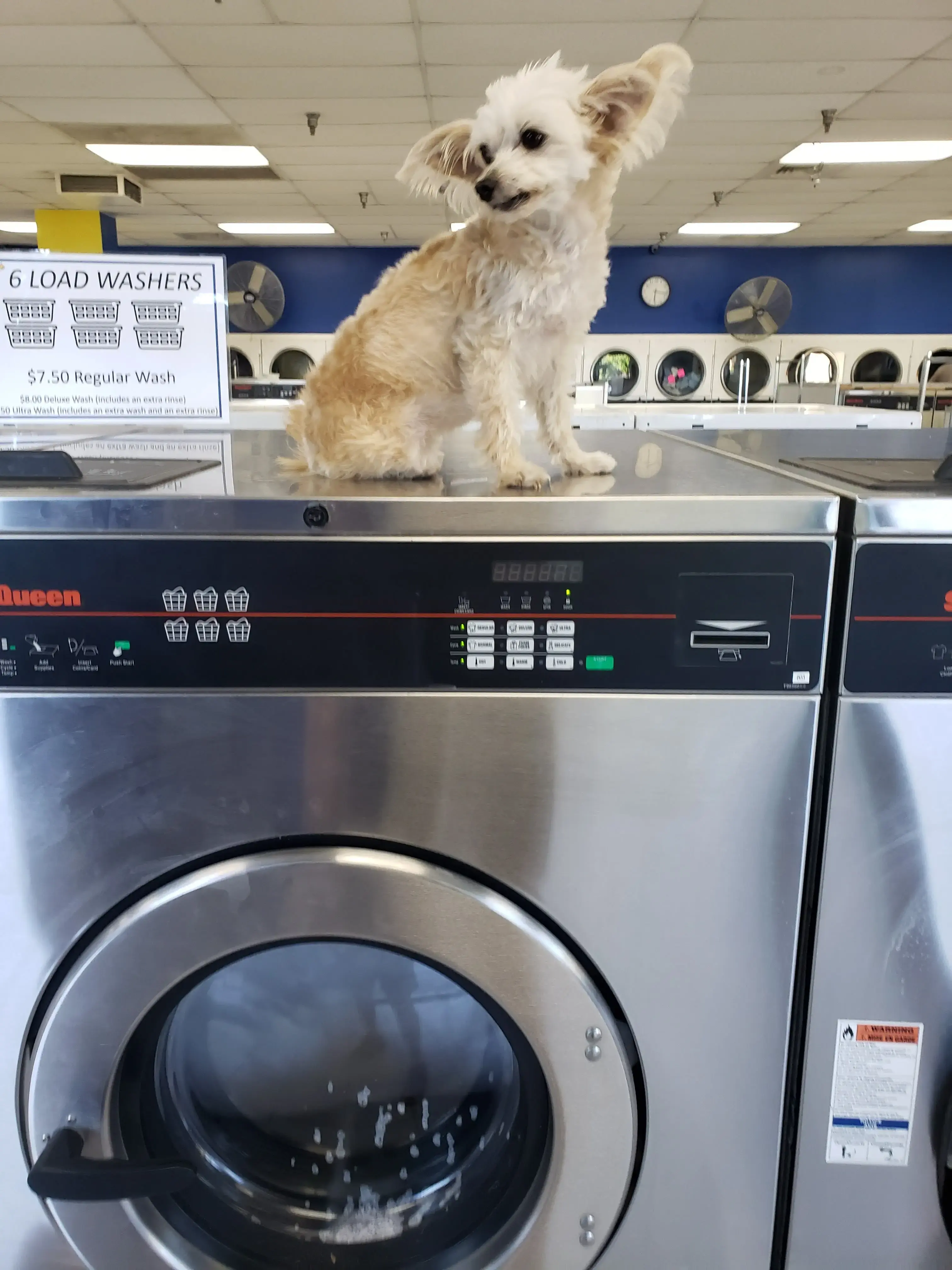 Centre Laundry thumbnail 11