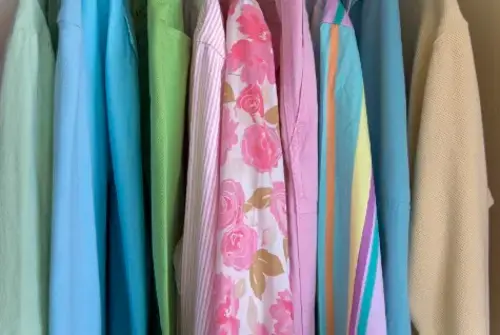 Champion Cleaners- Greystone - Image 1