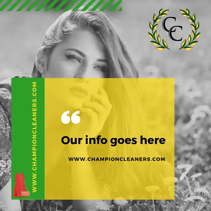 Champion Cleaners- Greystone - Image 8