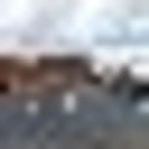 Champion Cleaners- Greystone thumbnail 18