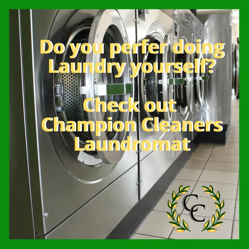 Champion Cleaners- Greystone - Image 14