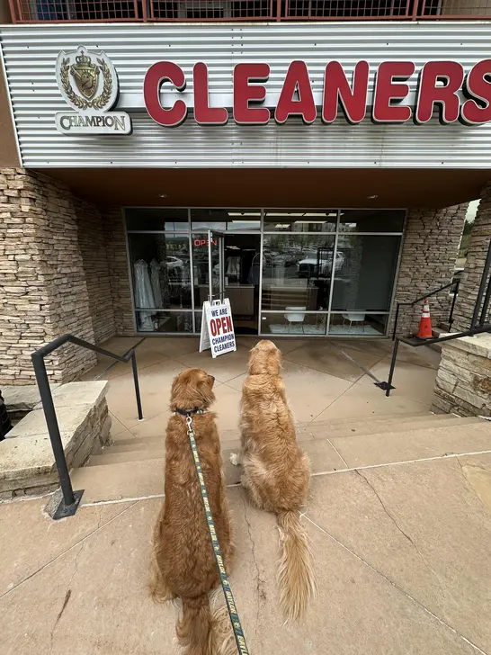 Champion Cleaners thumbnail 5