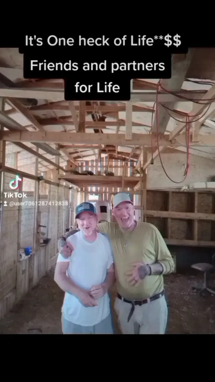 Chapel Hill Laundry thumbnail 12