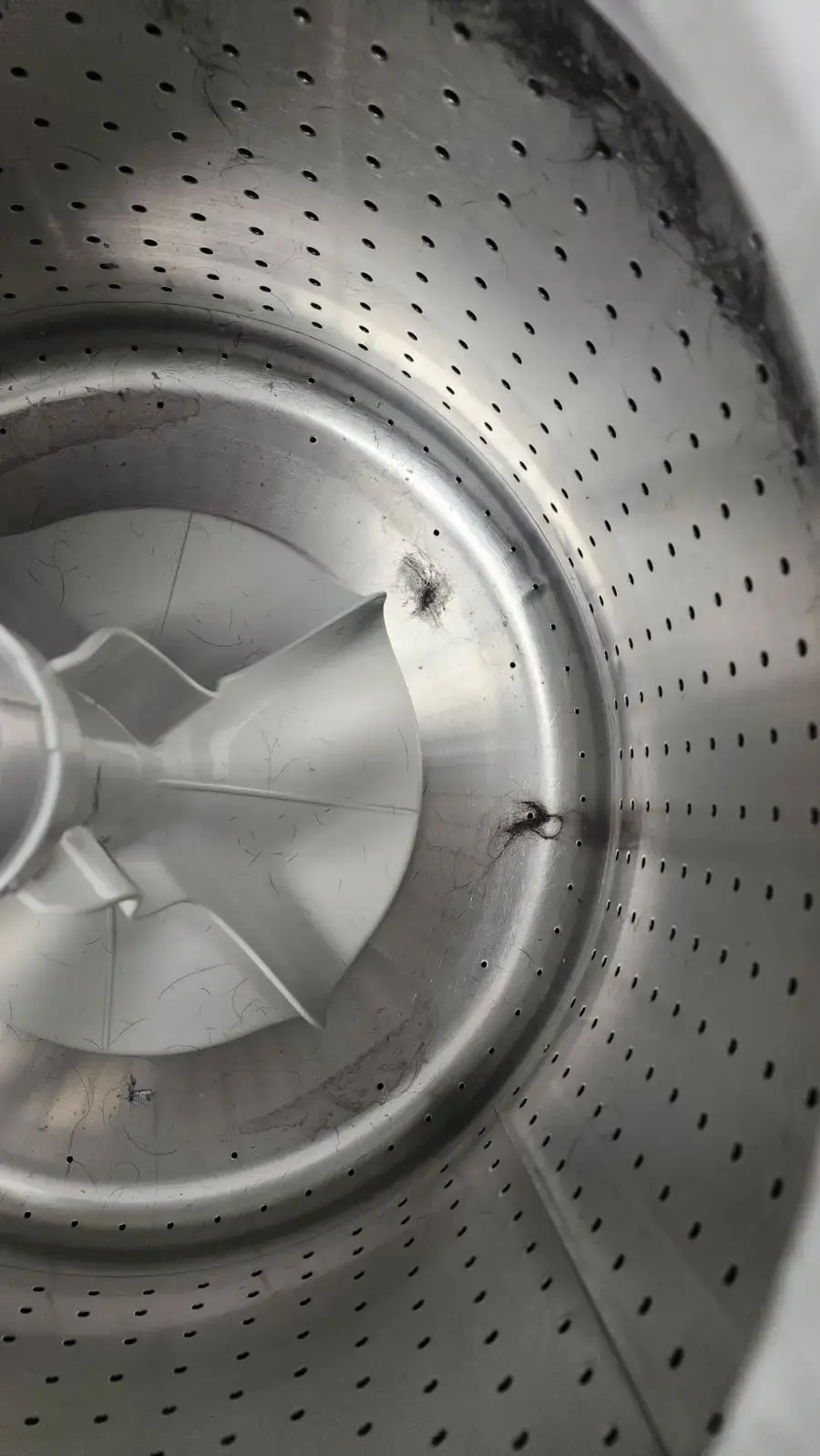 Chapel Hill Laundry - Image 17