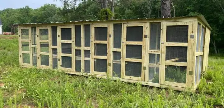 Chapel Hill Laundry thumbnail 11